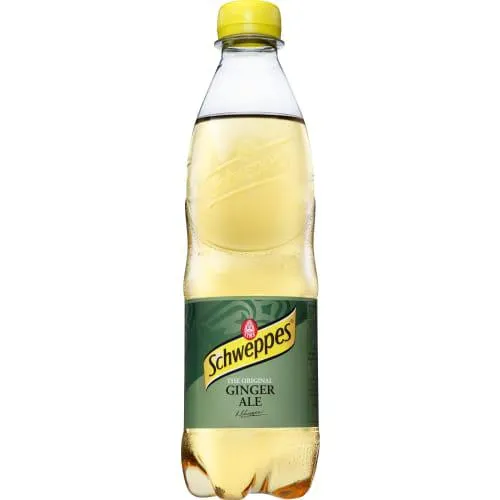 Ginger Ale Läsk Pet
