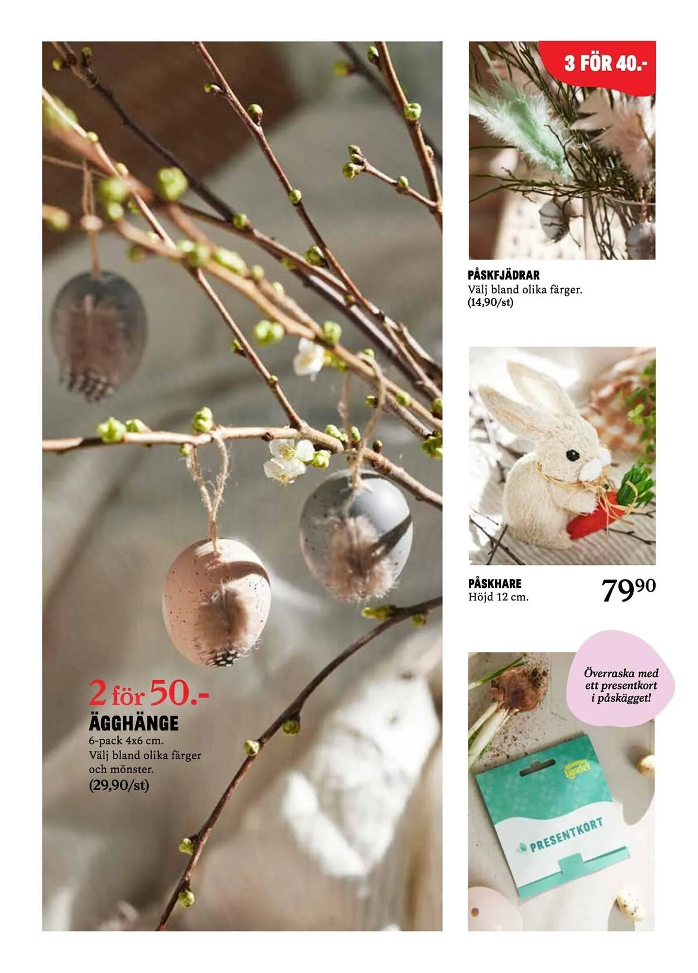 Blomsterlandet reklamblad från 31 mars till 6 april 2025 - Reklamblad sidor 6