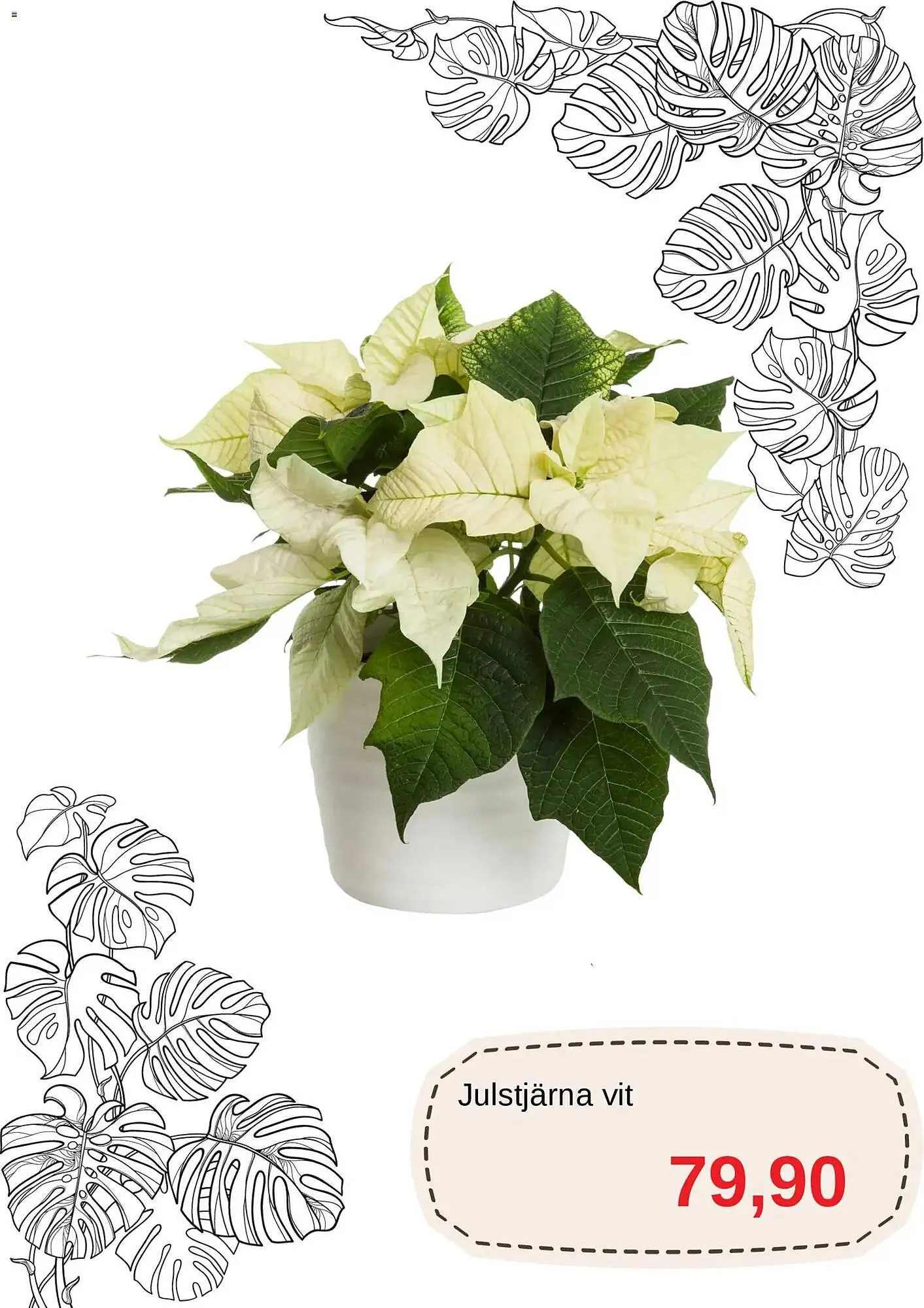 Blomsterlandet reklamblad från 1 december till 31 december 2025 - Reklamblad sidor 7