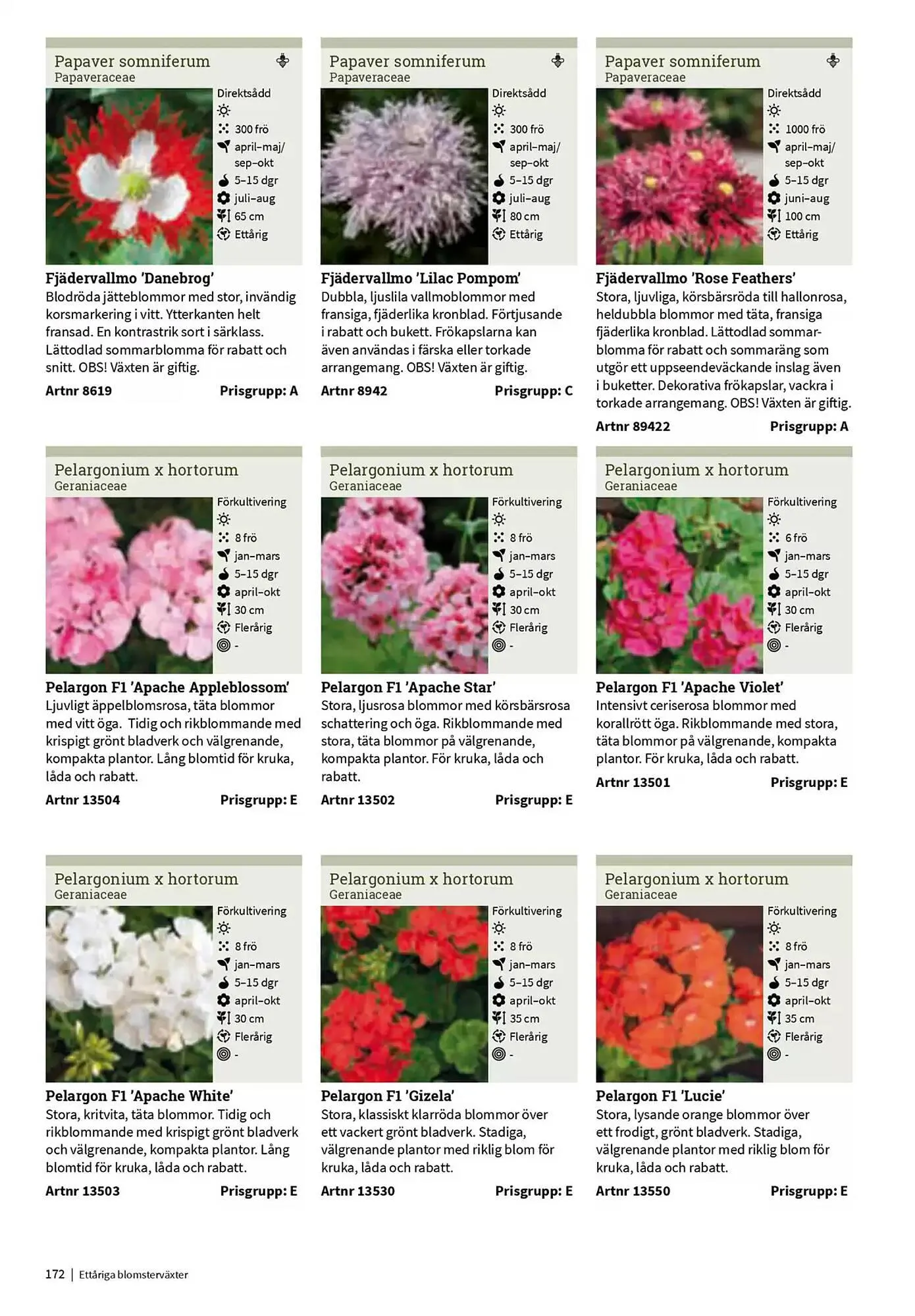 Impecta reklamblad från 23 januari till 31 december 2025 - Reklamblad sidor 172