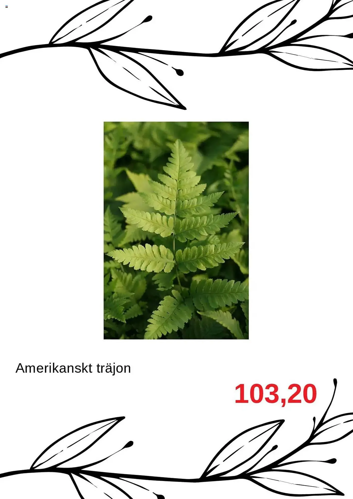 Blomsterlandet reklamblad från 23 juli till 6 augusti 2025 - Reklamblad sidor 8