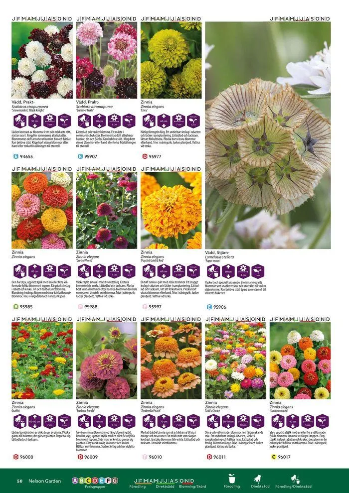 Nelson Gardens frökatalog 2024 är här! från 6 mars till 31 december 2024 - Reklamblad sidor 50