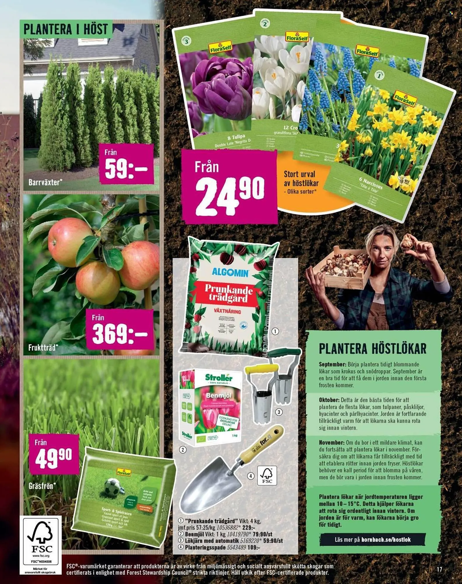 Hornbach reklamblad från 31 augusti till 24 september 2025 - Reklamblad sidor 17