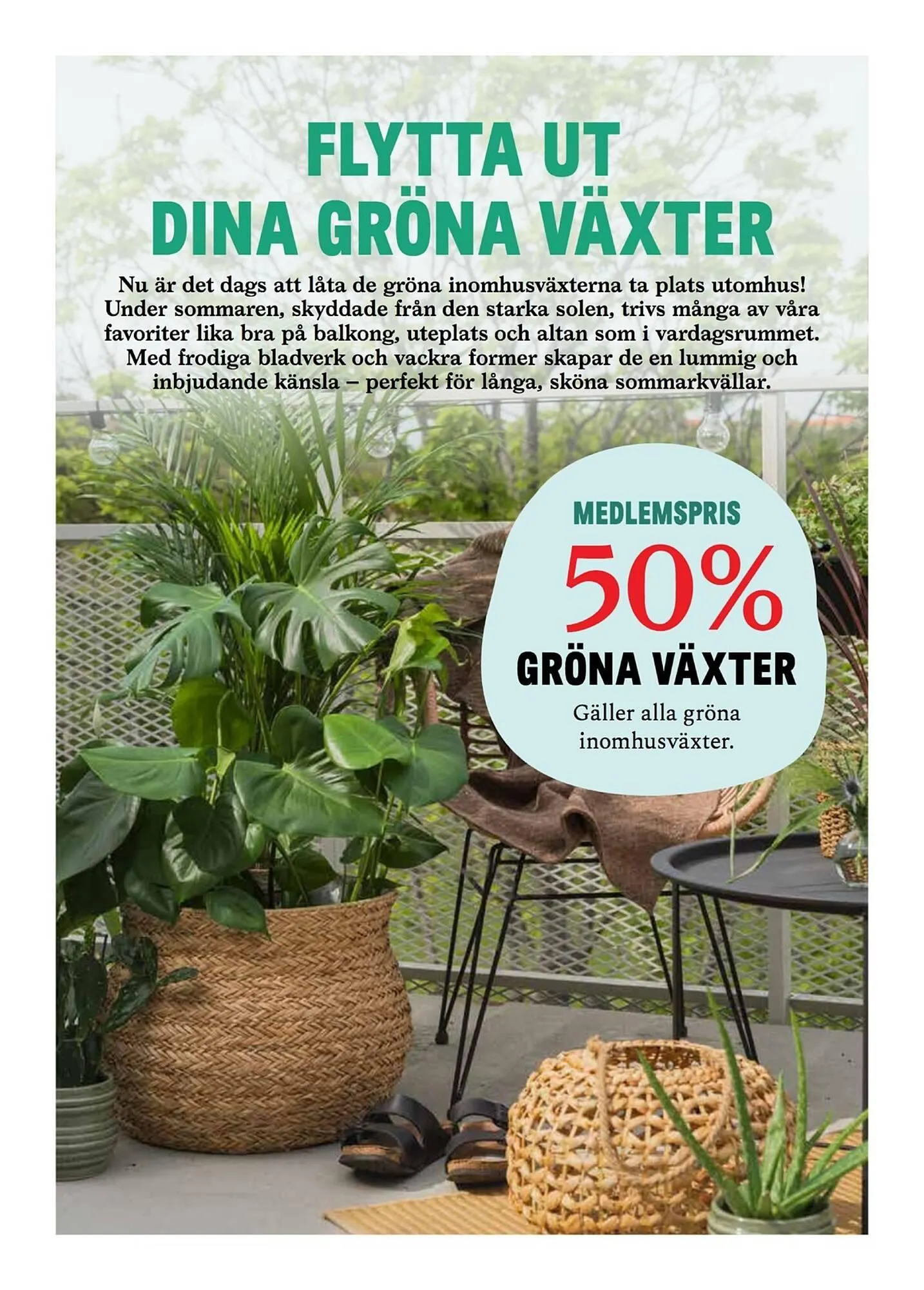 Blomsterlandet reklamblad från 26 maj till 1 juni 2025 - Reklamblad sidor 5