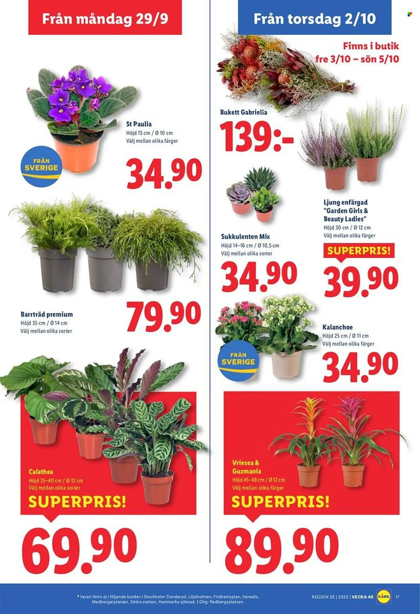 Lidl reklamblad från 29 september till 5 oktober 2025 - Reklamblad sidor 19