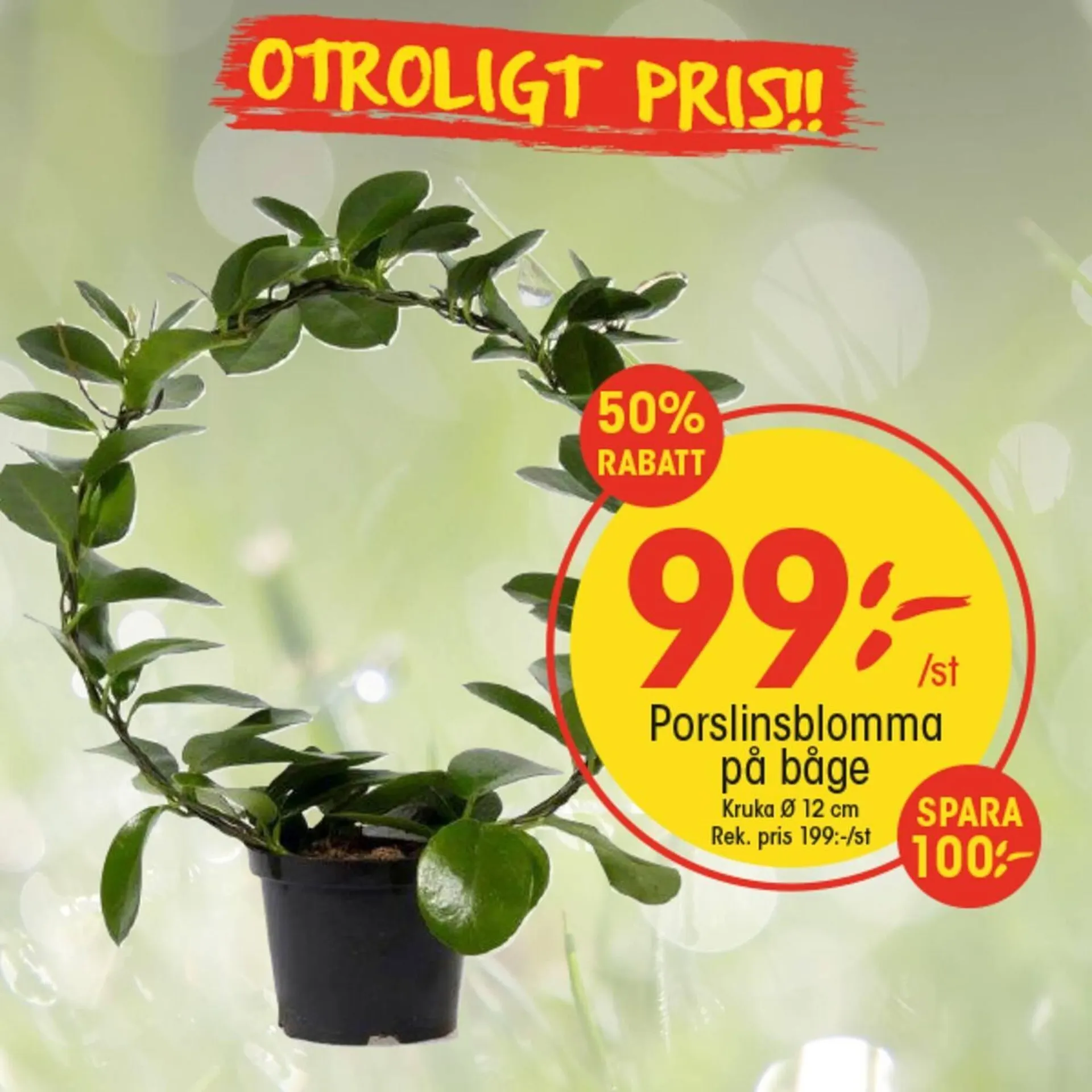 EKO reklamblad från 12 augusti till 16 augusti 2025 - Reklamblad sidor 4