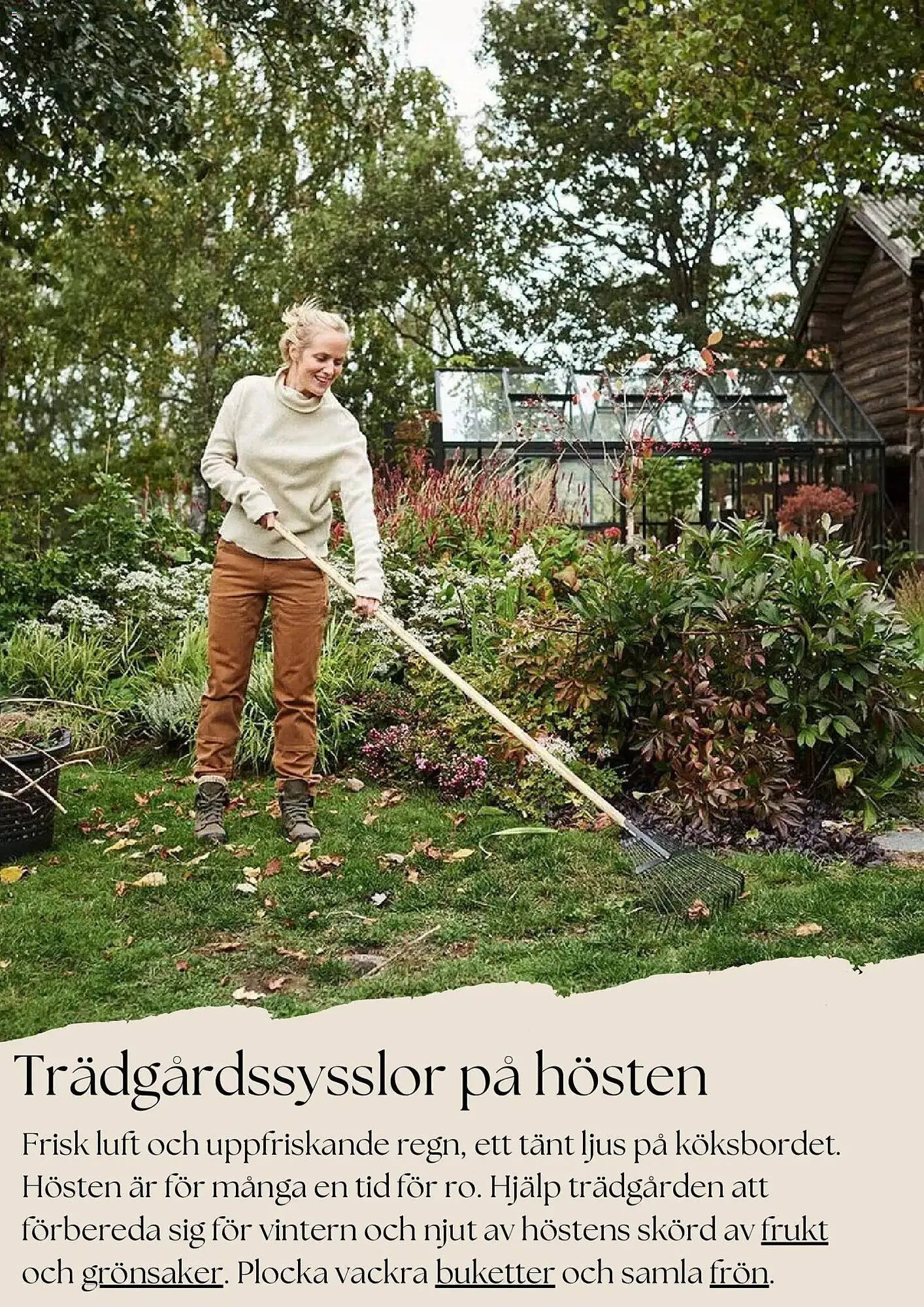 Plantagen annonsblad från 27 oktober till 26 november 2025 - Reklamblad sidor 5