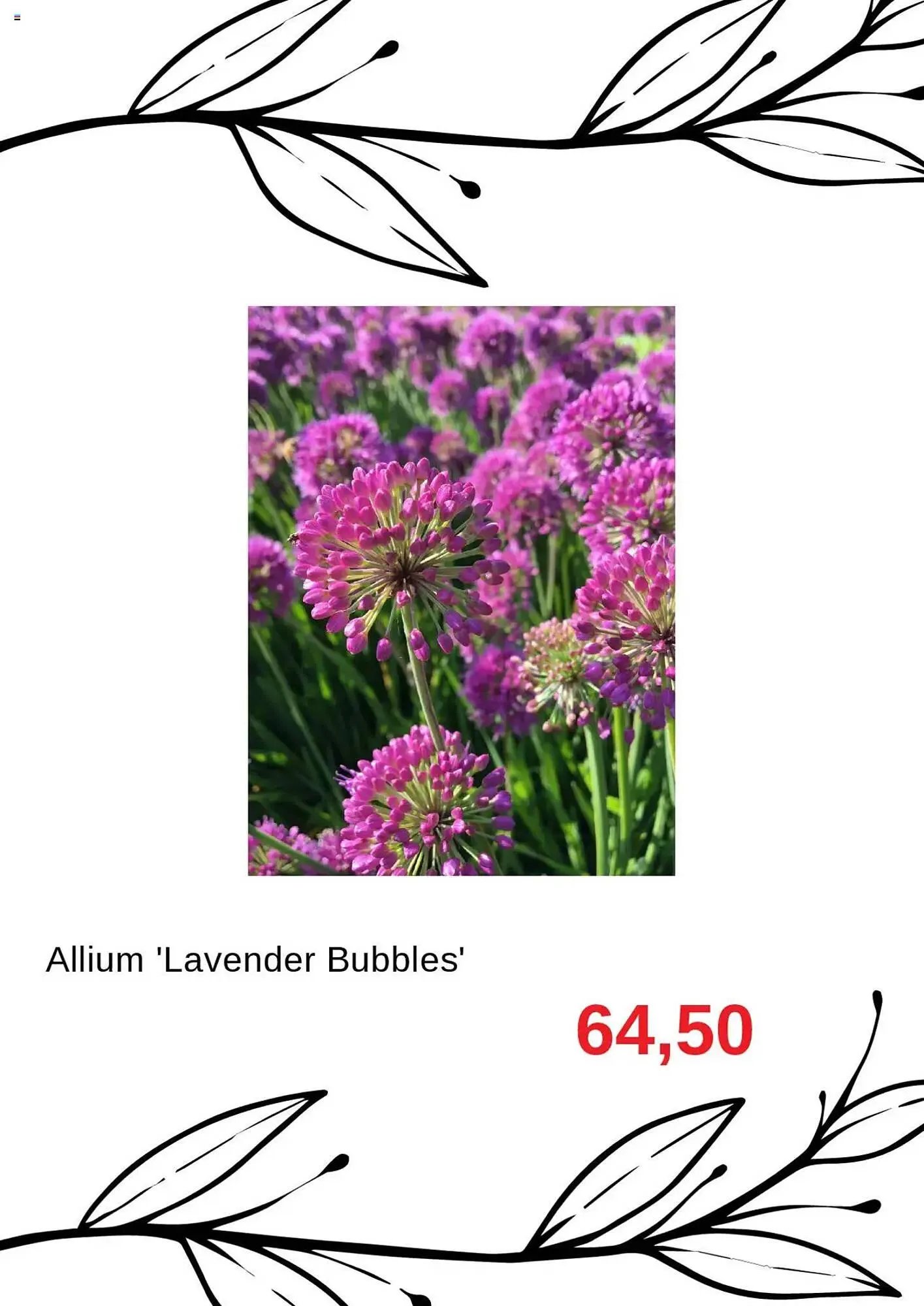 Blomsterlandet reklamblad från 1 oktober till 2 november 2025 - Reklamblad sidor 3