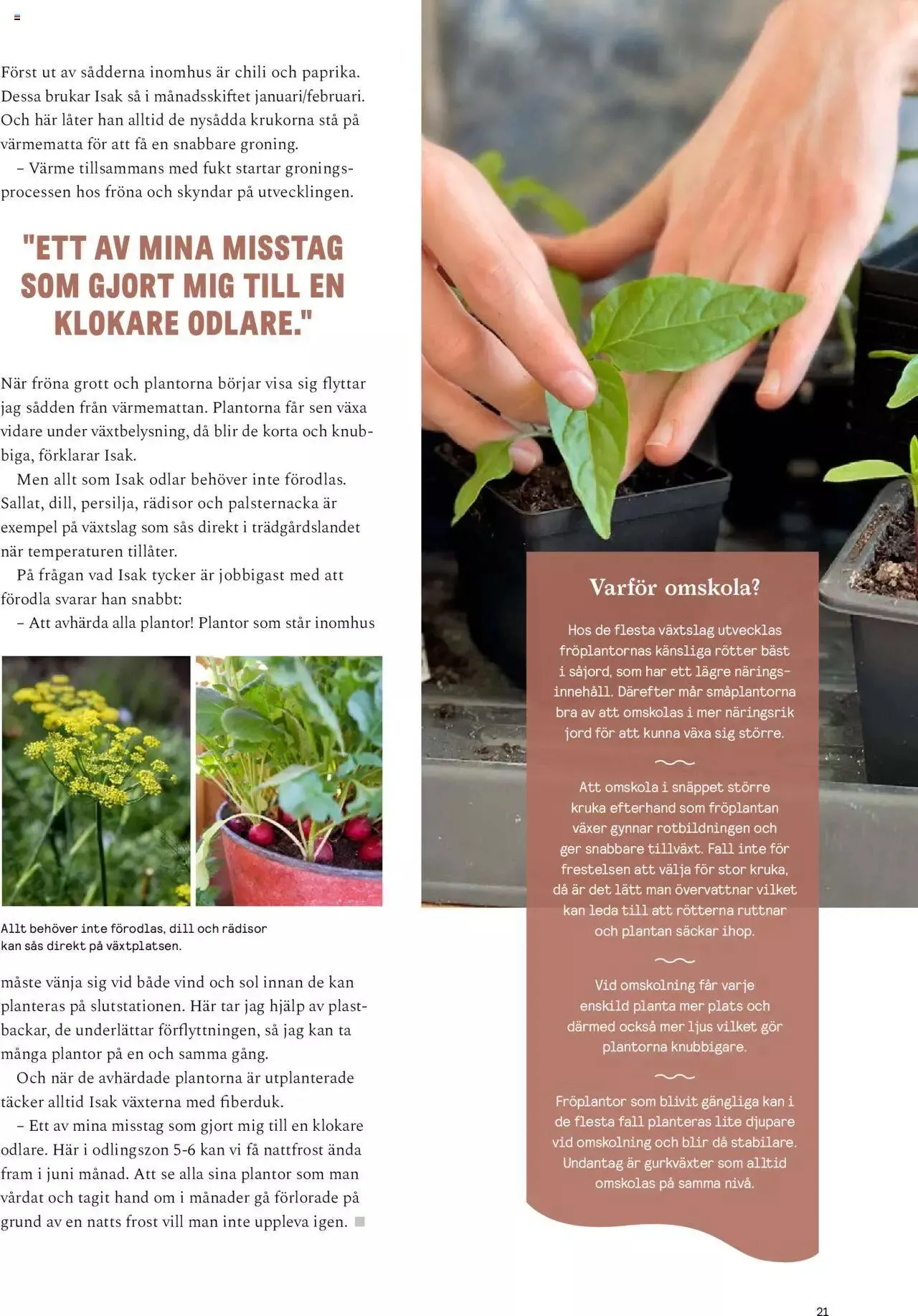 Blomsterlandet - Grönska #1 från 6 februari till 31 december 2023 - Reklamblad sidor 21