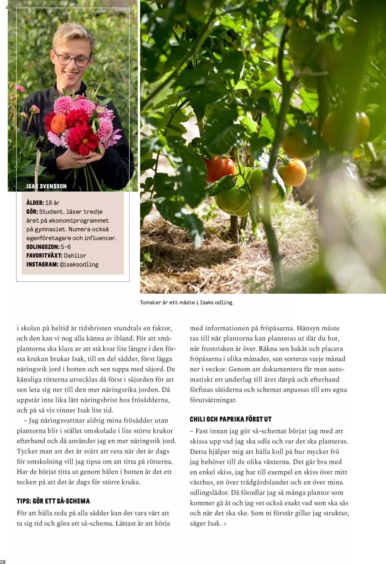 Blomsterlandet - Grönska #1 från 6 februari till 31 december 2023 - Reklamblad sidor 20