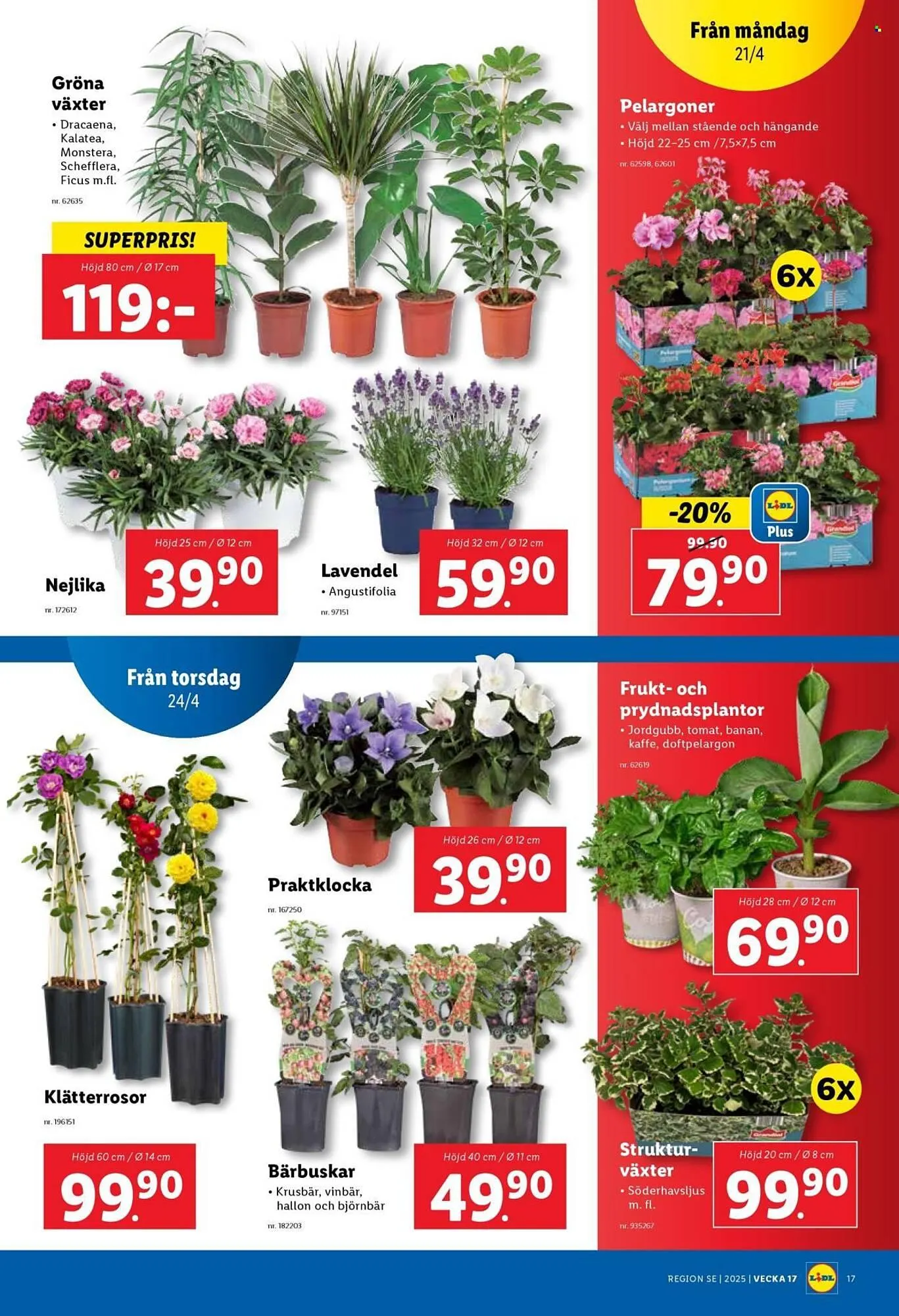 Lidl reklamblad från 21 april till 27 april 2025 - Reklamblad sidor 20