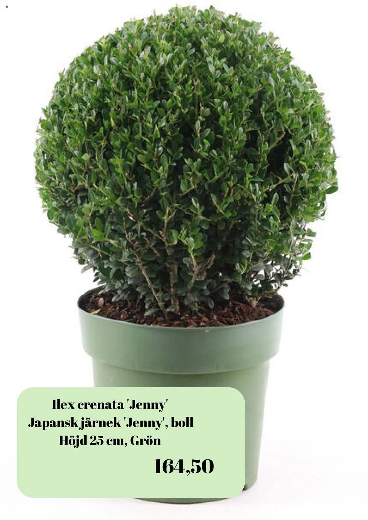 Plantagen reklamblad från 22 september till 5 oktober 2023 - Reklamblad sidor 5