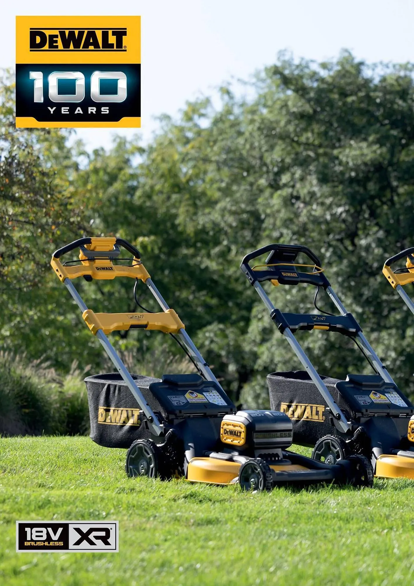 Dewalt reklamblad från 7 mars till 21 mars 2024 - Reklamblad sidor 30