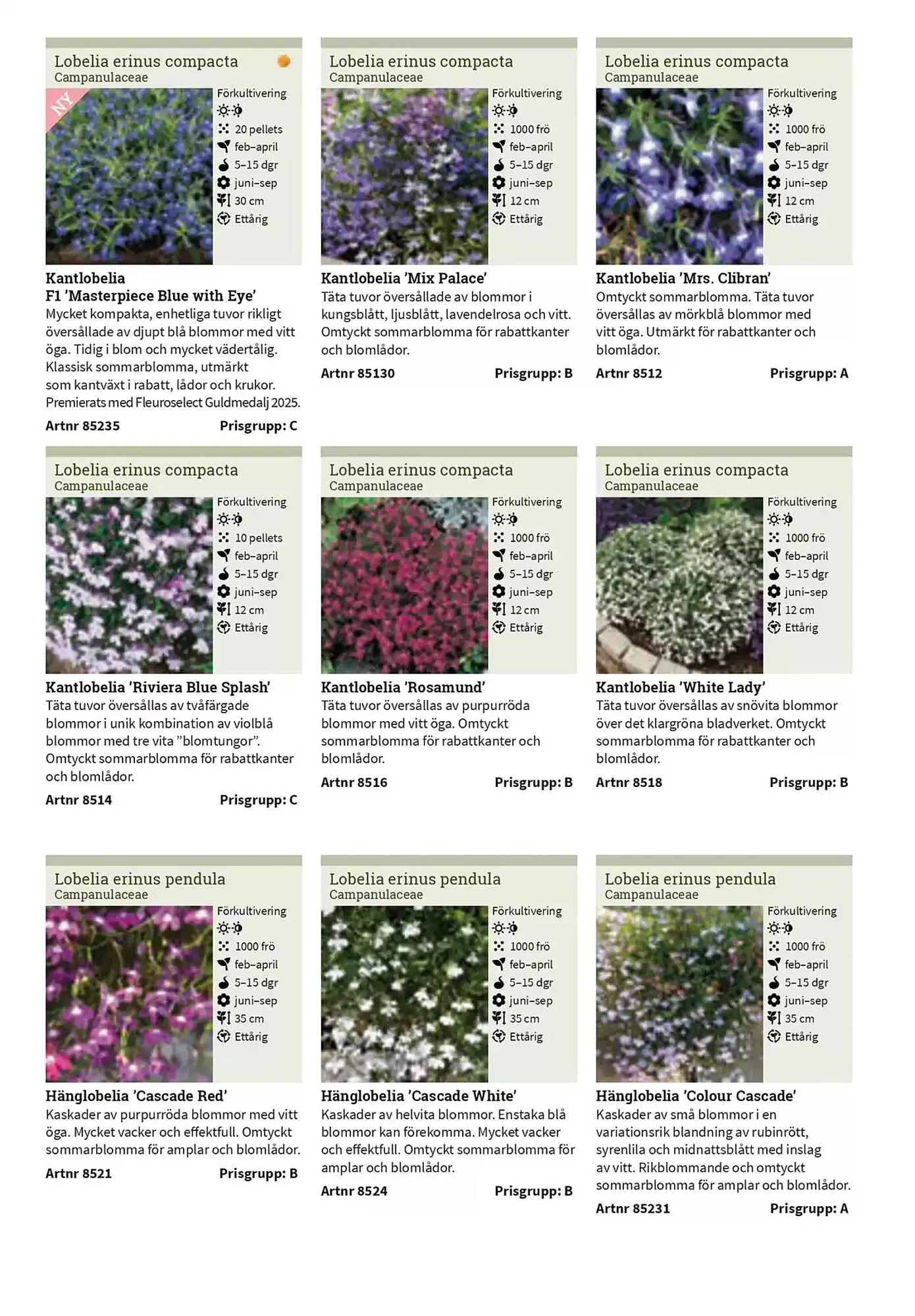 Impecta reklamblad från 23 januari till 31 december 2025 - Reklamblad sidor 160