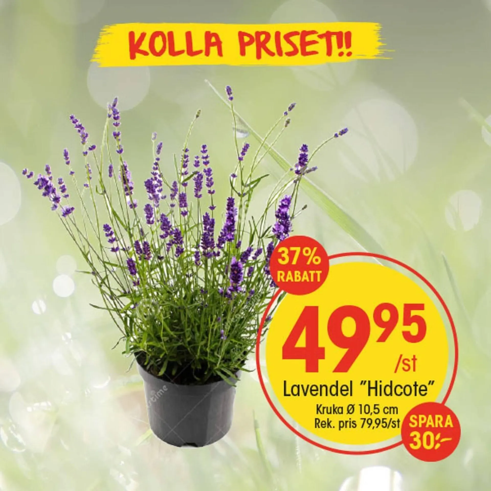 EKO reklamblad från 3 maj till 9 maj 2025 - Reklamblad sidor 7