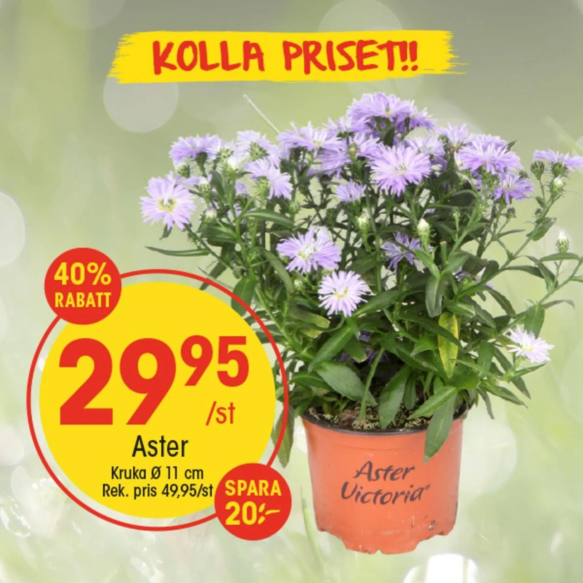 EKO reklamblad från 12 augusti till 16 augusti 2025 - Reklamblad sidor 2