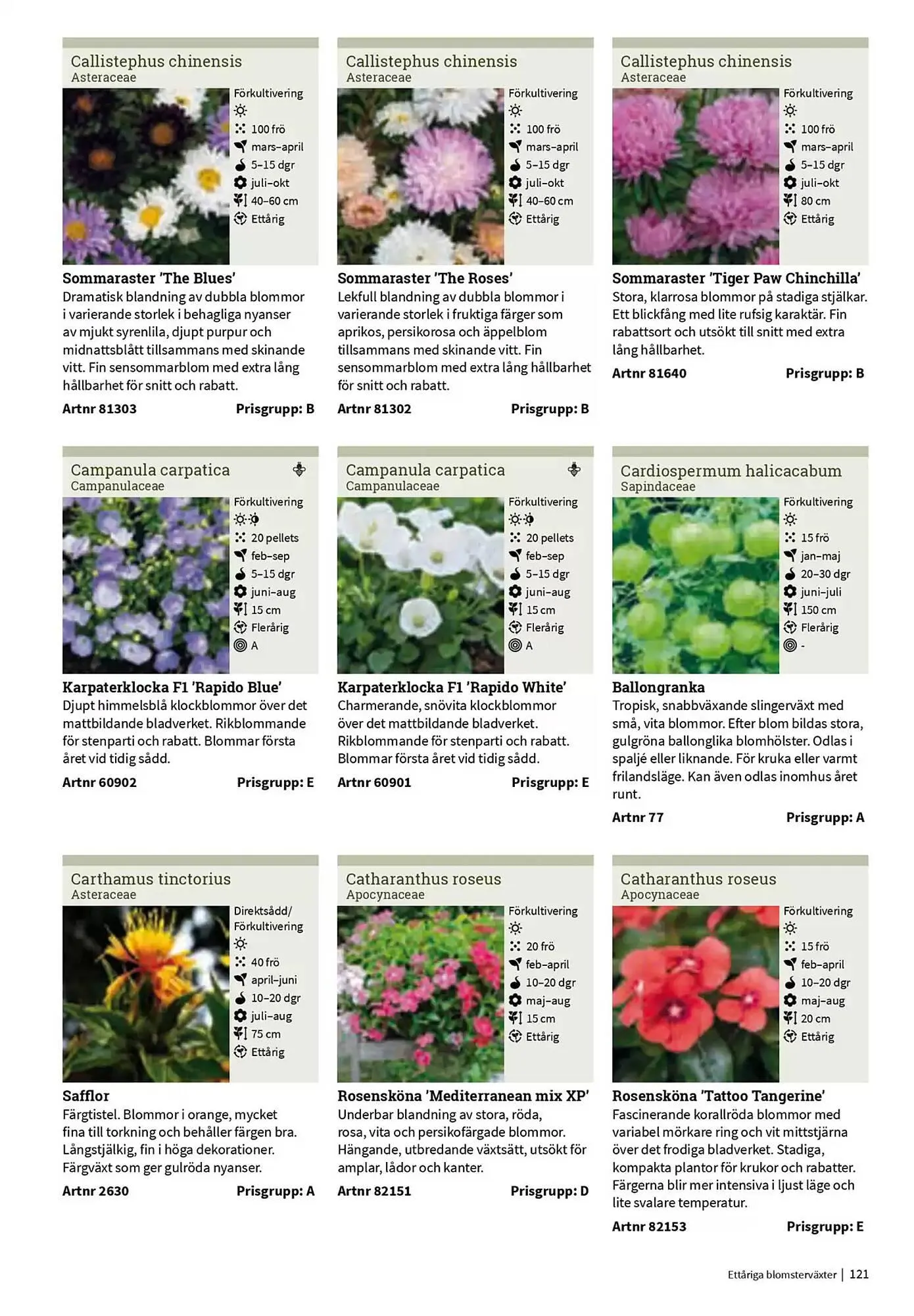 Impecta reklamblad från 23 januari till 31 december 2025 - Reklamblad sidor 121