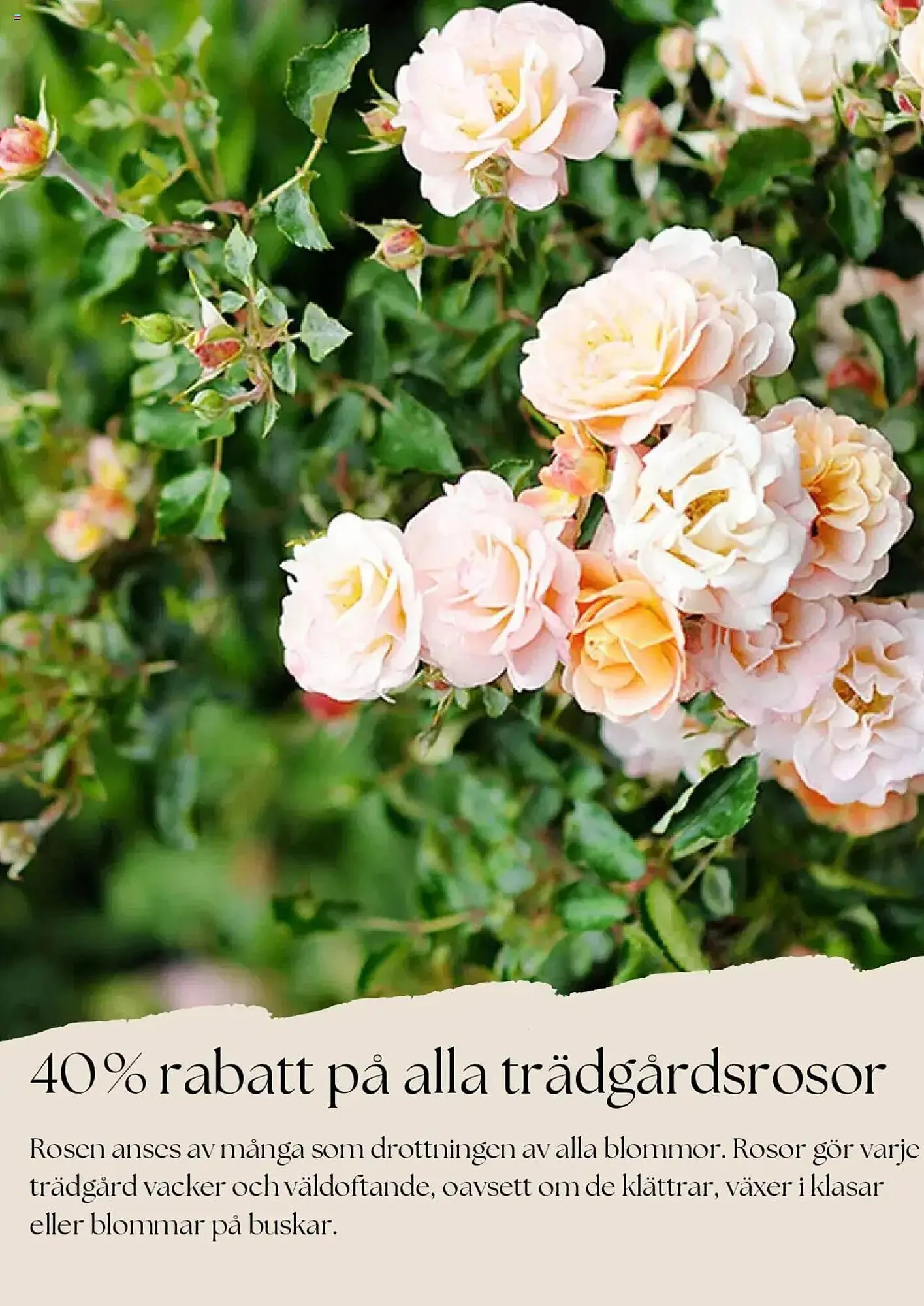 Plantagen reklamblad från 1 juni till 30 juni 2025 - Reklamblad sidor 3