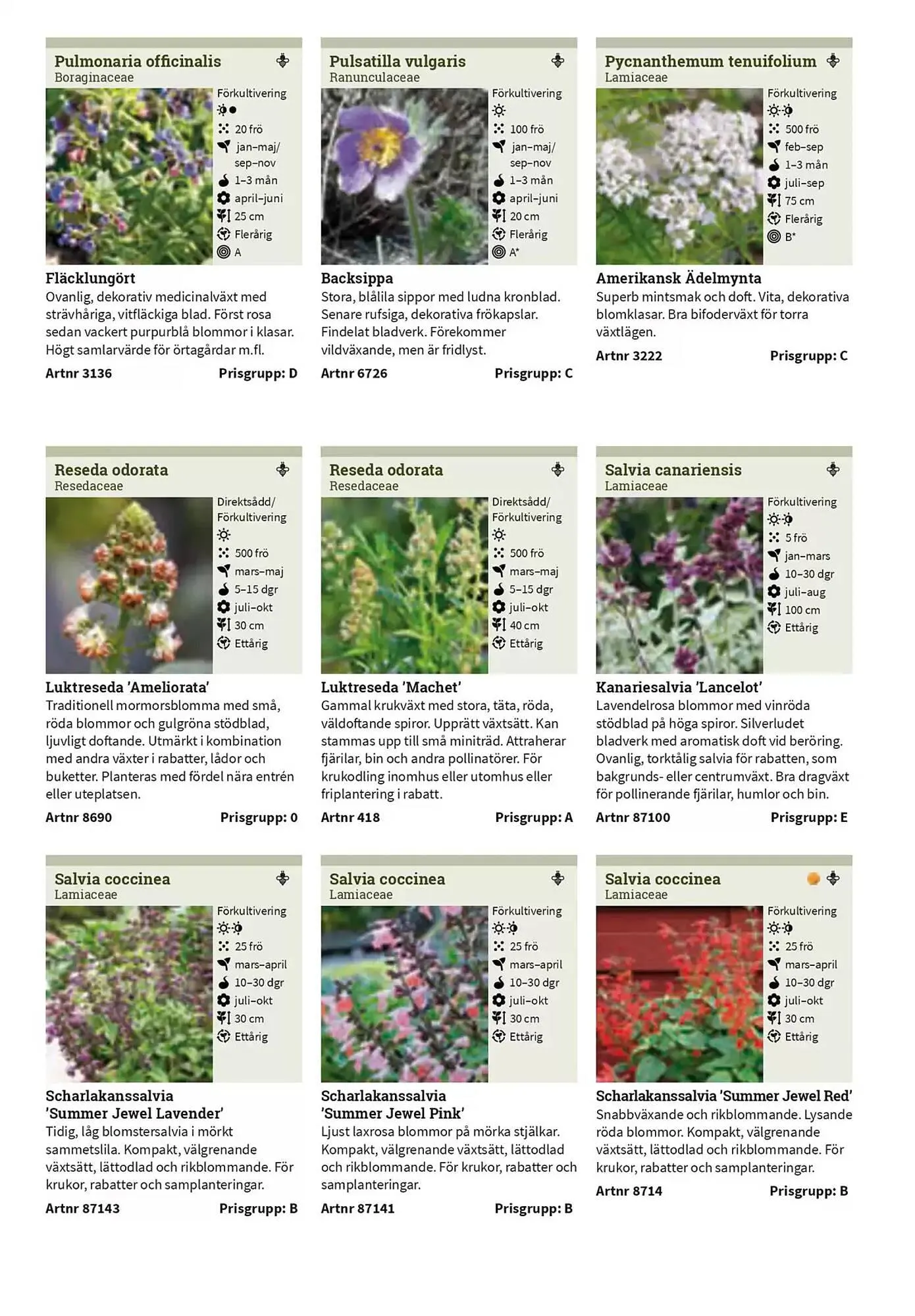 Impecta reklamblad från 23 januari till 31 december 2025 - Reklamblad sidor 232