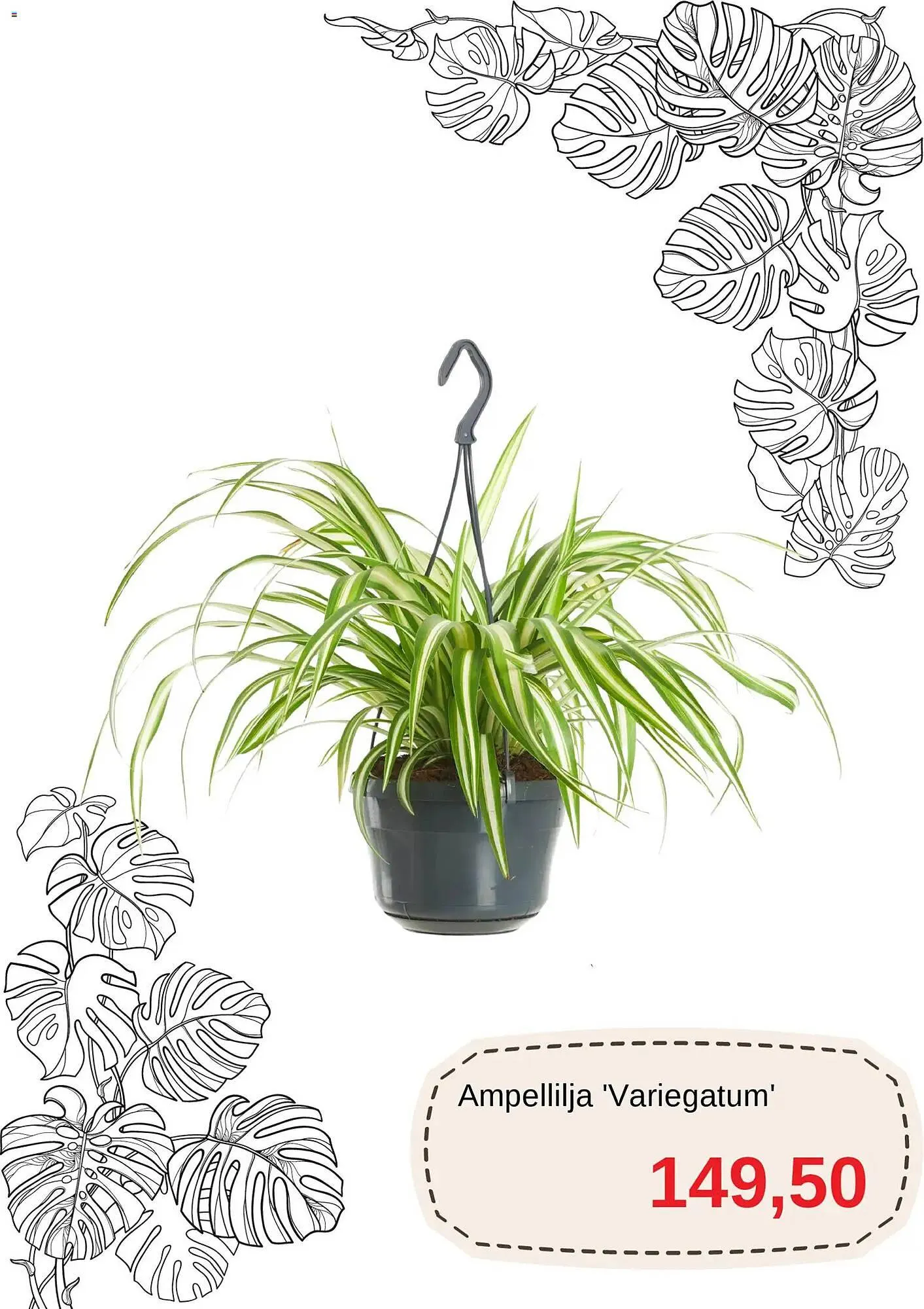 Blomsterlandet reklamblad från 1 november till 16 november 2025 - Reklamblad sidor 6