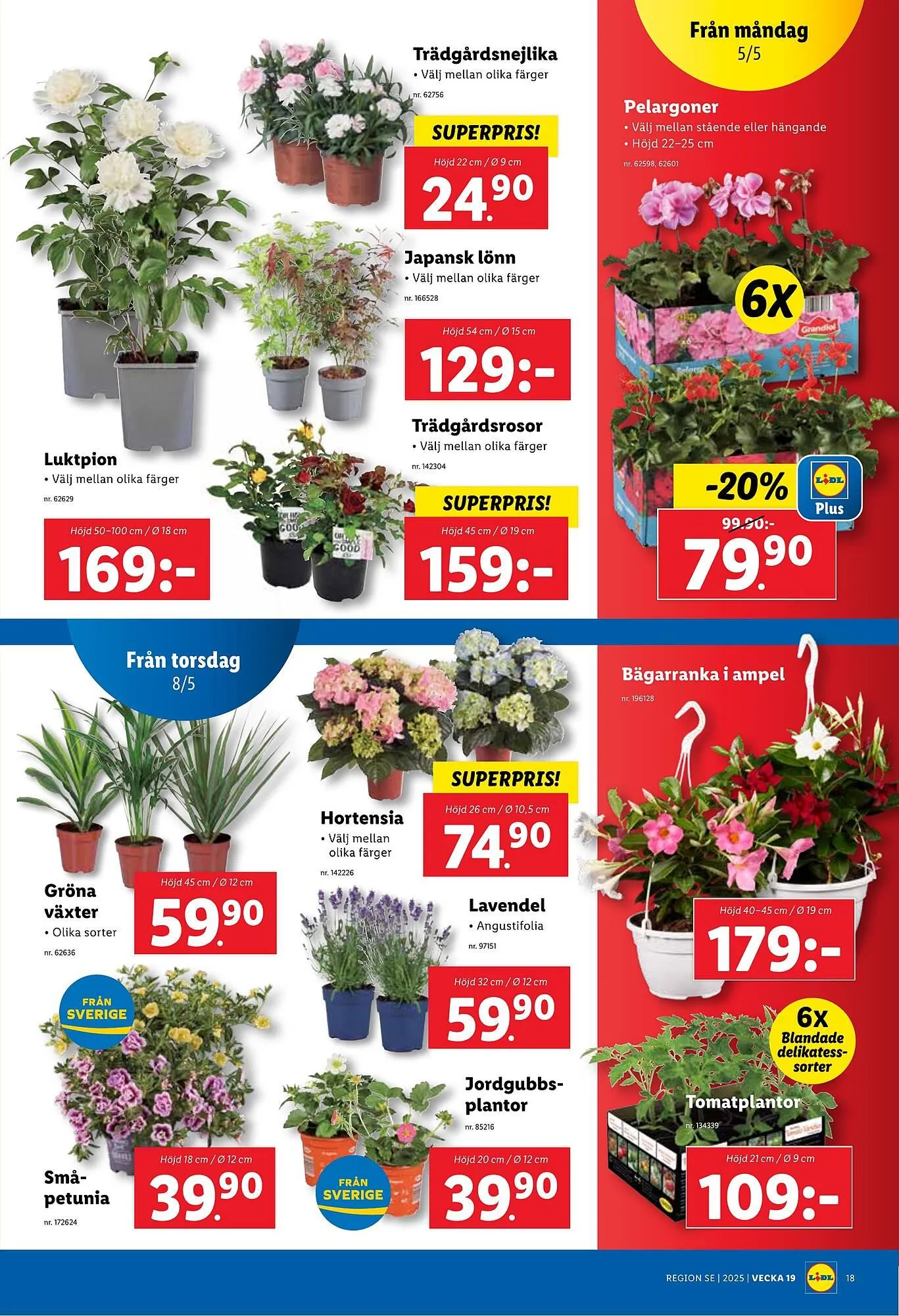 Lidl reklamblad från 5 maj till 11 maj 2025 - Reklamblad sidor 19