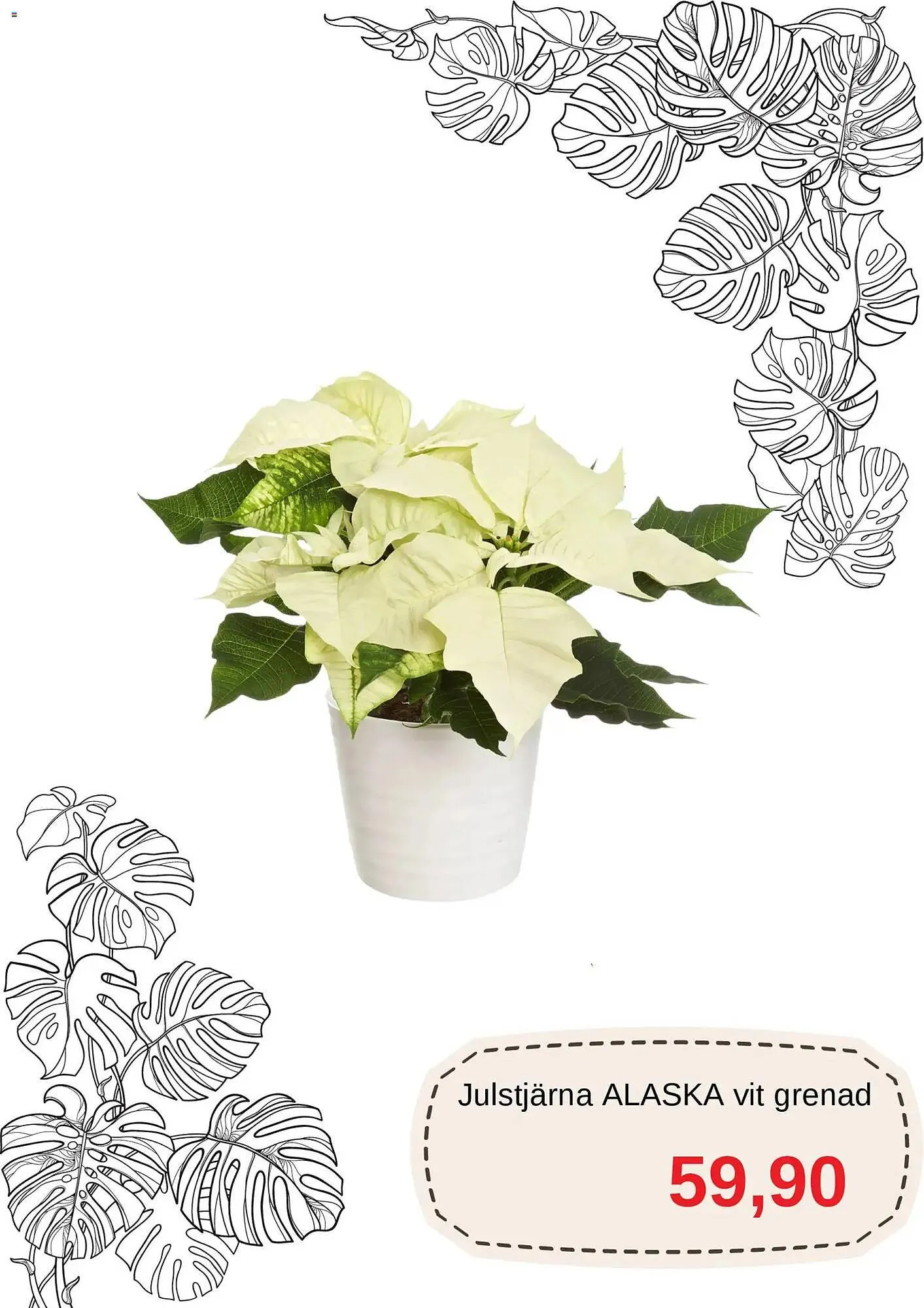 Blomsterlandet reklamblad från 1 december till 31 december 2025 - Reklamblad sidor 5