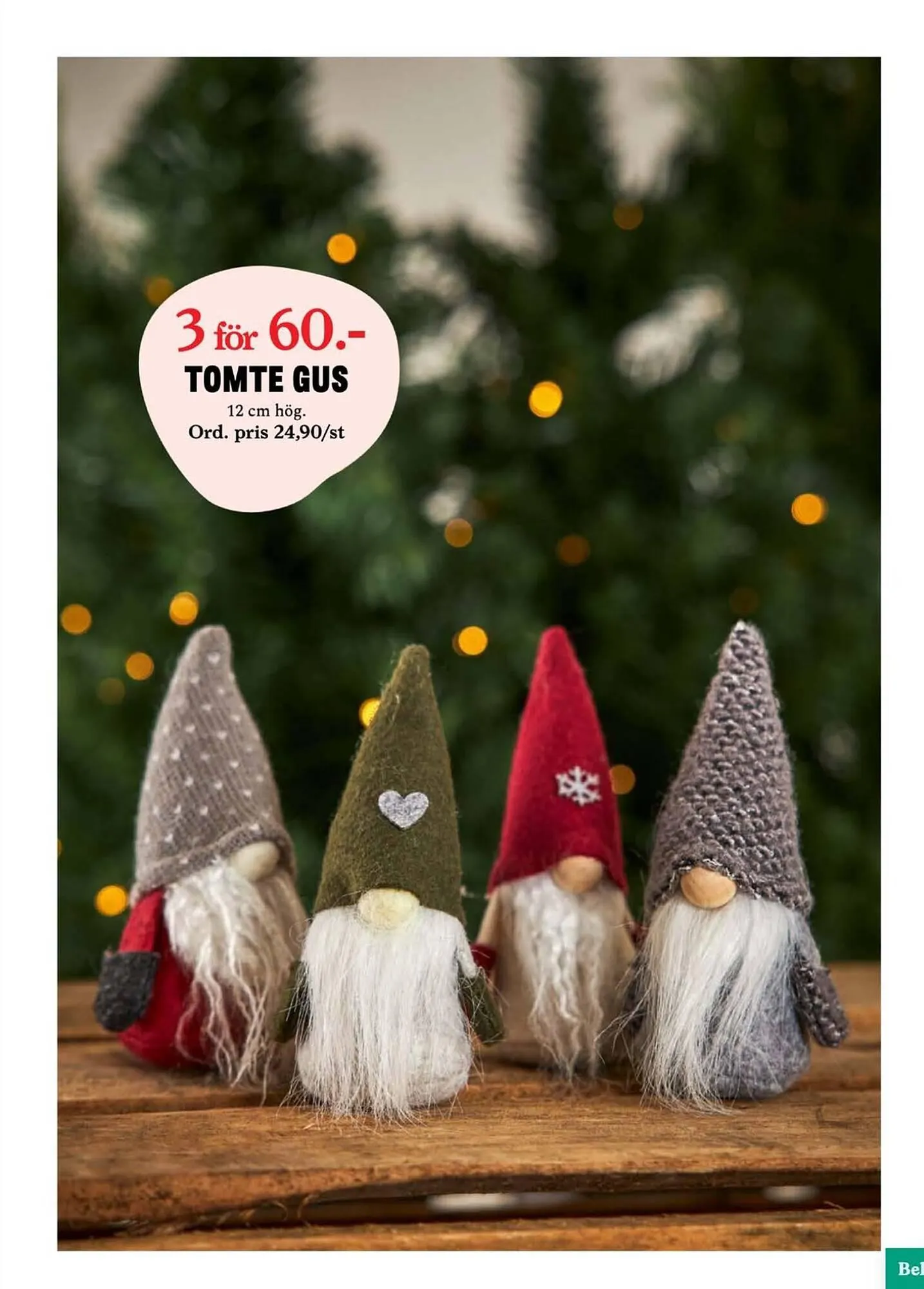 Blomsterlandet reklamblad från 20 november till 26 november 2023 - Reklamblad sidor 13