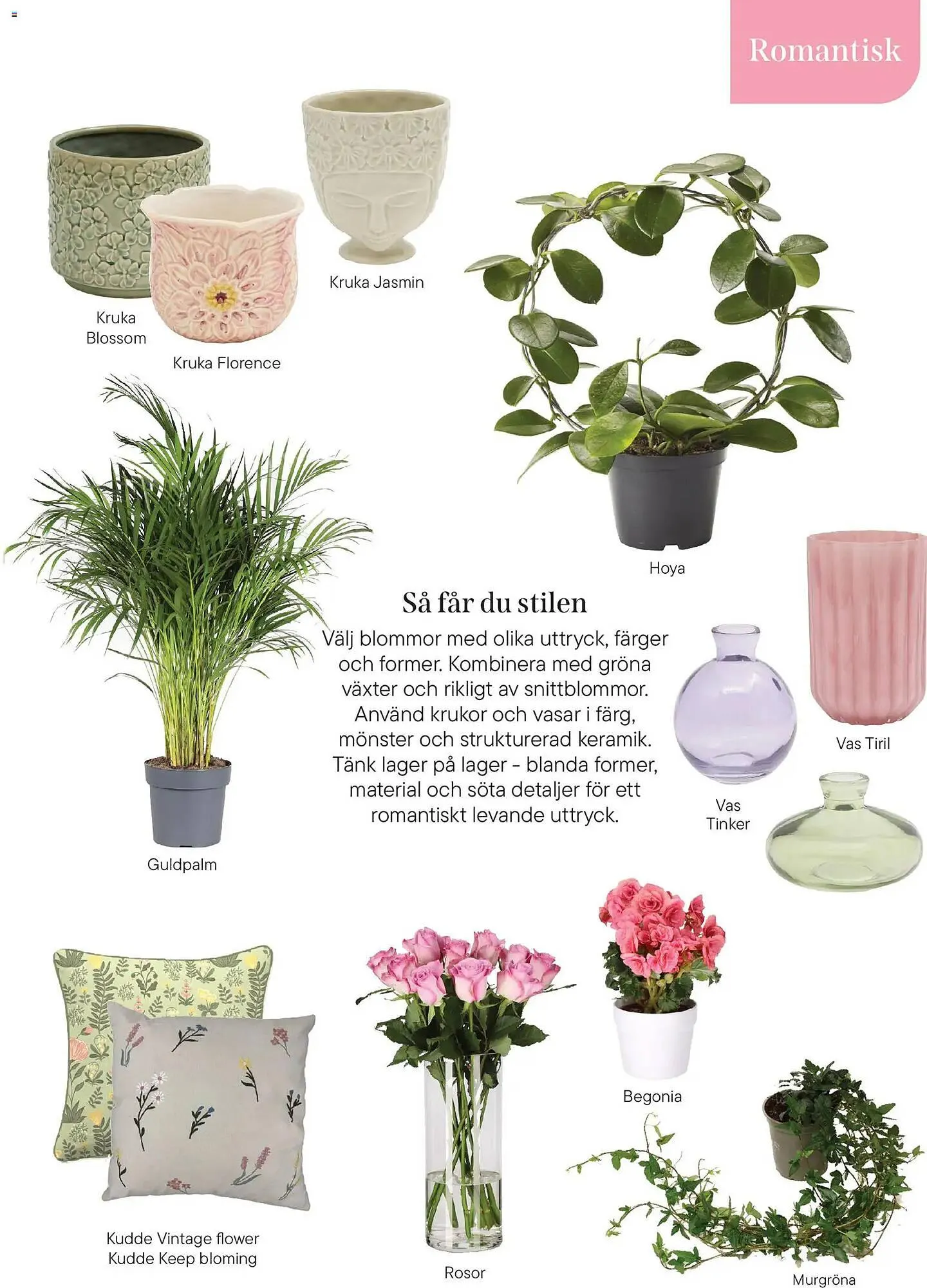 Plantagen annonsblad från 13 januari till 30 juni 2026 - Reklamblad sidor 7