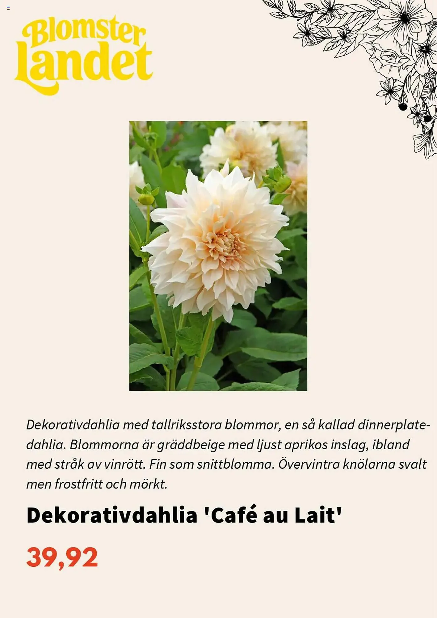 Blomsterlandet reklamblad från 1 mars till 31 mars 2025 - Reklamblad sidor 5