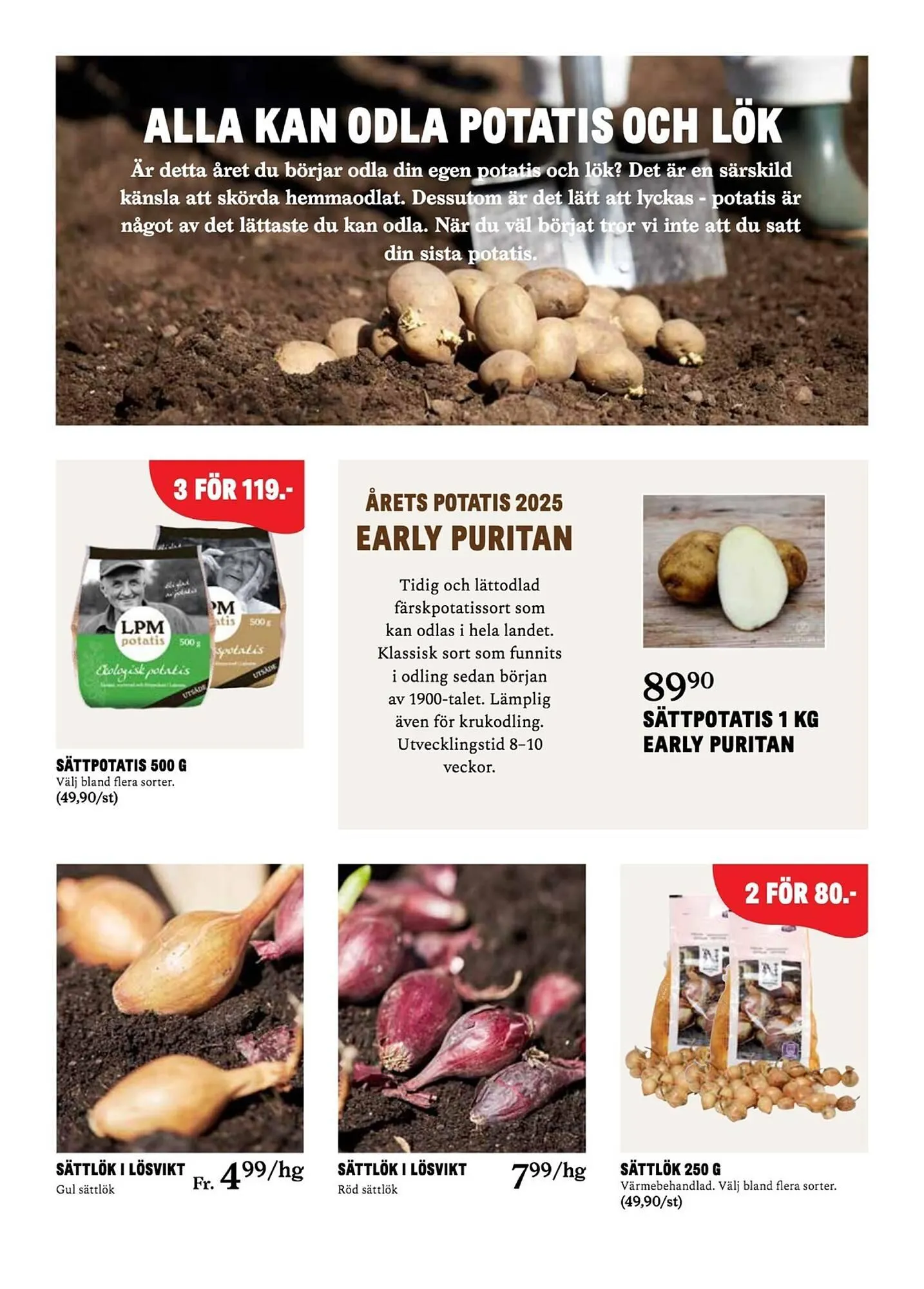 Blomsterlandet reklamblad från 31 mars till 6 april 2025 - Reklamblad sidor 12