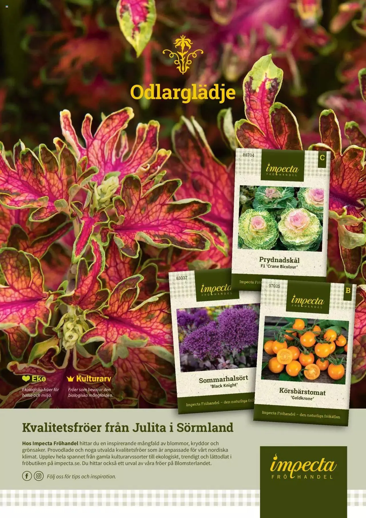Blomsterlandet - Grönska #1 från 6 februari till 31 december 2023 - Reklamblad sidor 16
