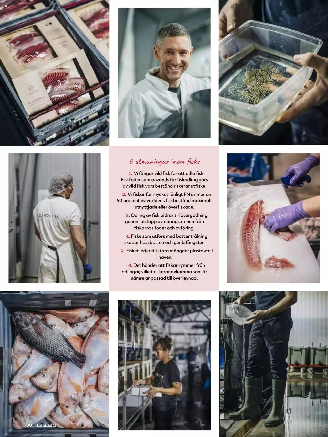 Hemköp - Hemlagat #1 2023 från 10 februari till 31 december 2023 - Reklamblad sidor 30