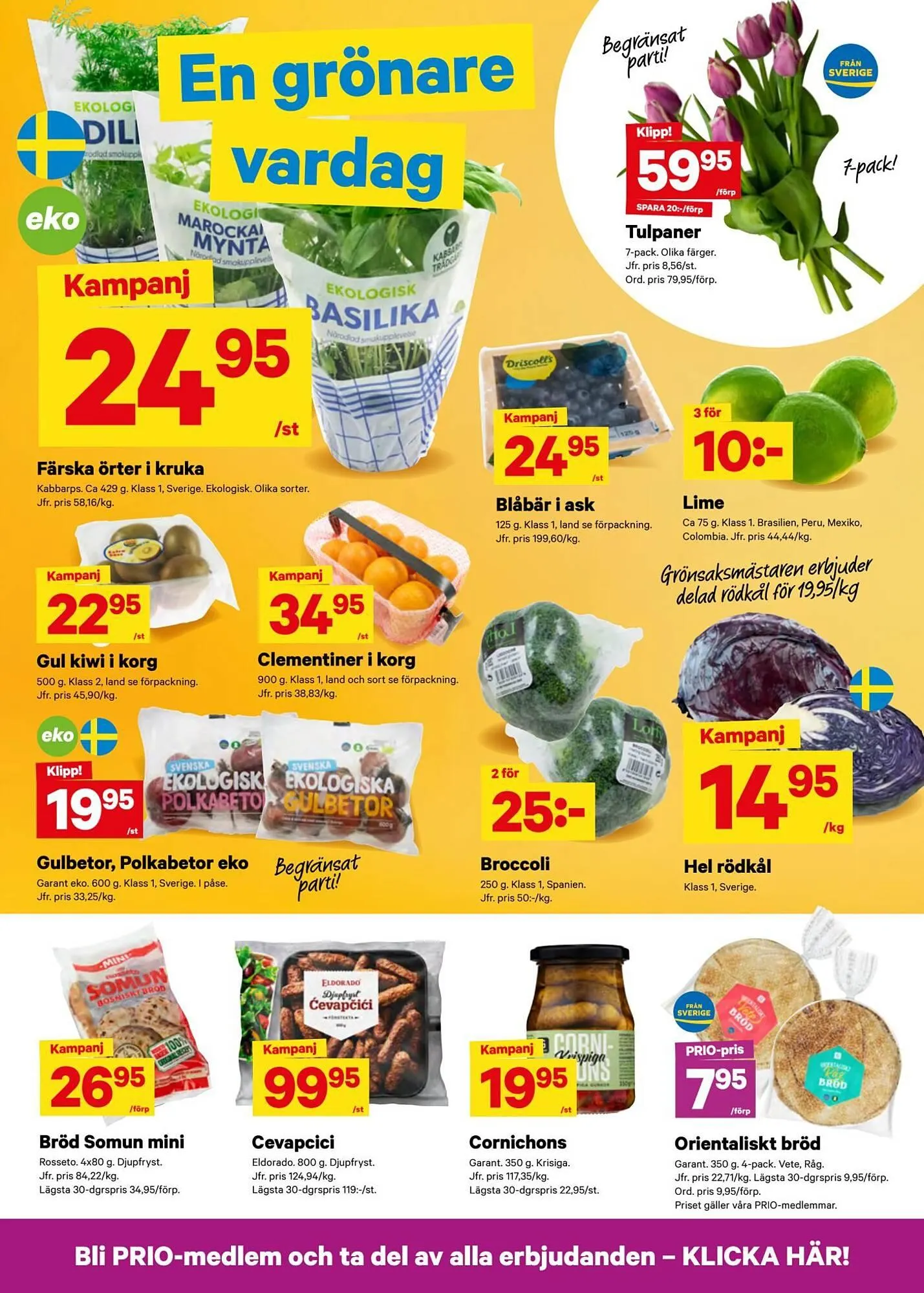 City Gross reklamblad från 26 januari till 2 februari 2026 - Reklamblad sidor 3