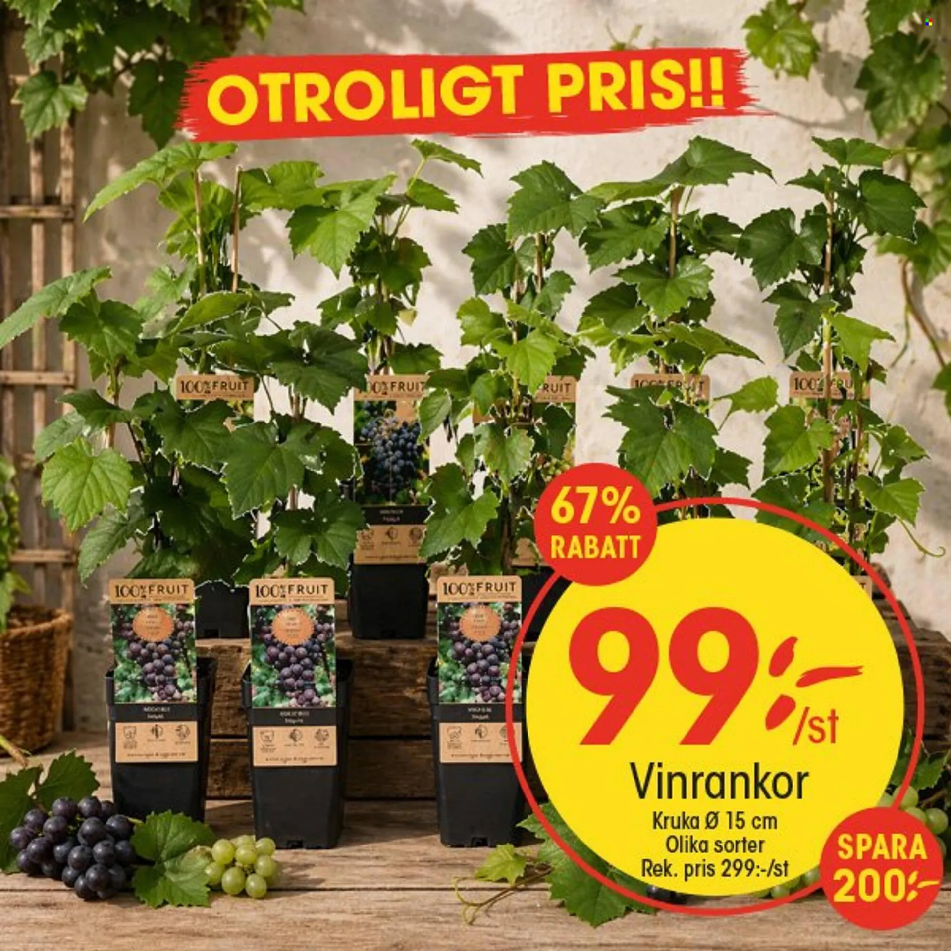 EKO reklamblad från 27 april till 3 maj 2026 - Reklamblad sidor 10