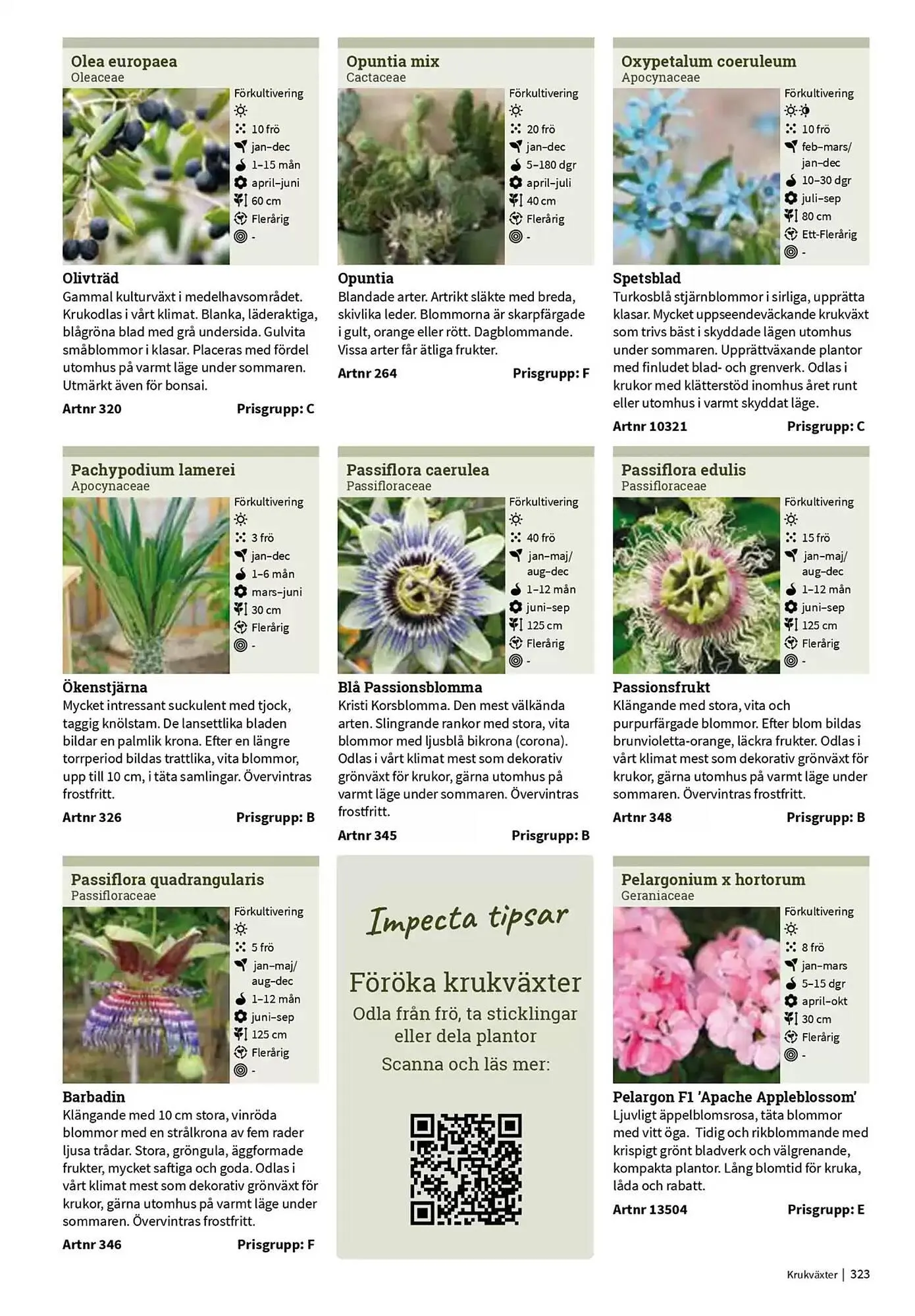 Impecta reklamblad från 23 januari till 31 december 2025 - Reklamblad sidor 323