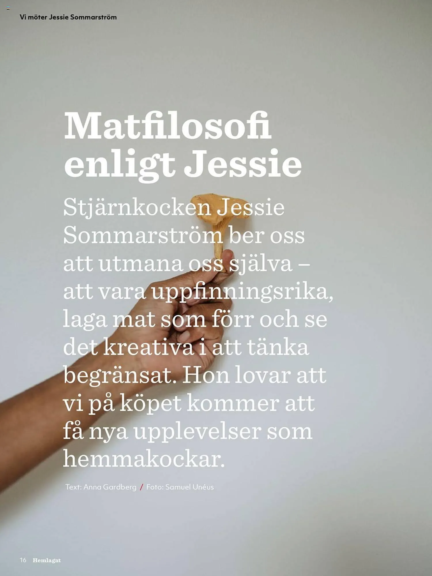 Hemköp reklamblad från 21 oktober till 31 december 2024 - Reklamblad sidor 16