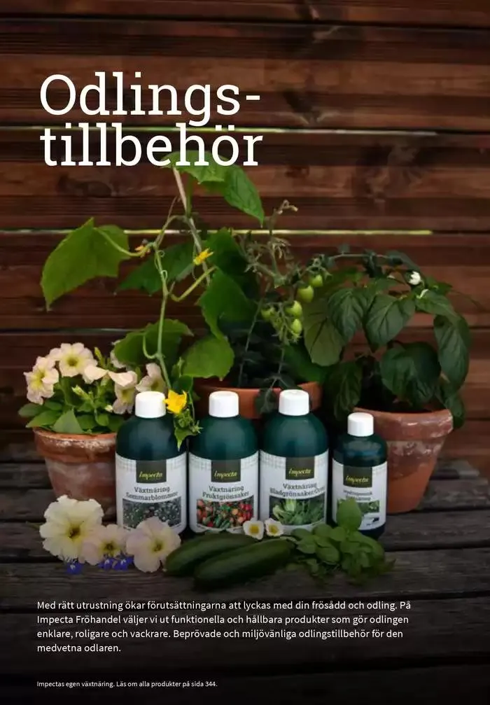 Frökatalog 2025! från 23 januari till 31 december 2025 - Reklamblad sidor 328