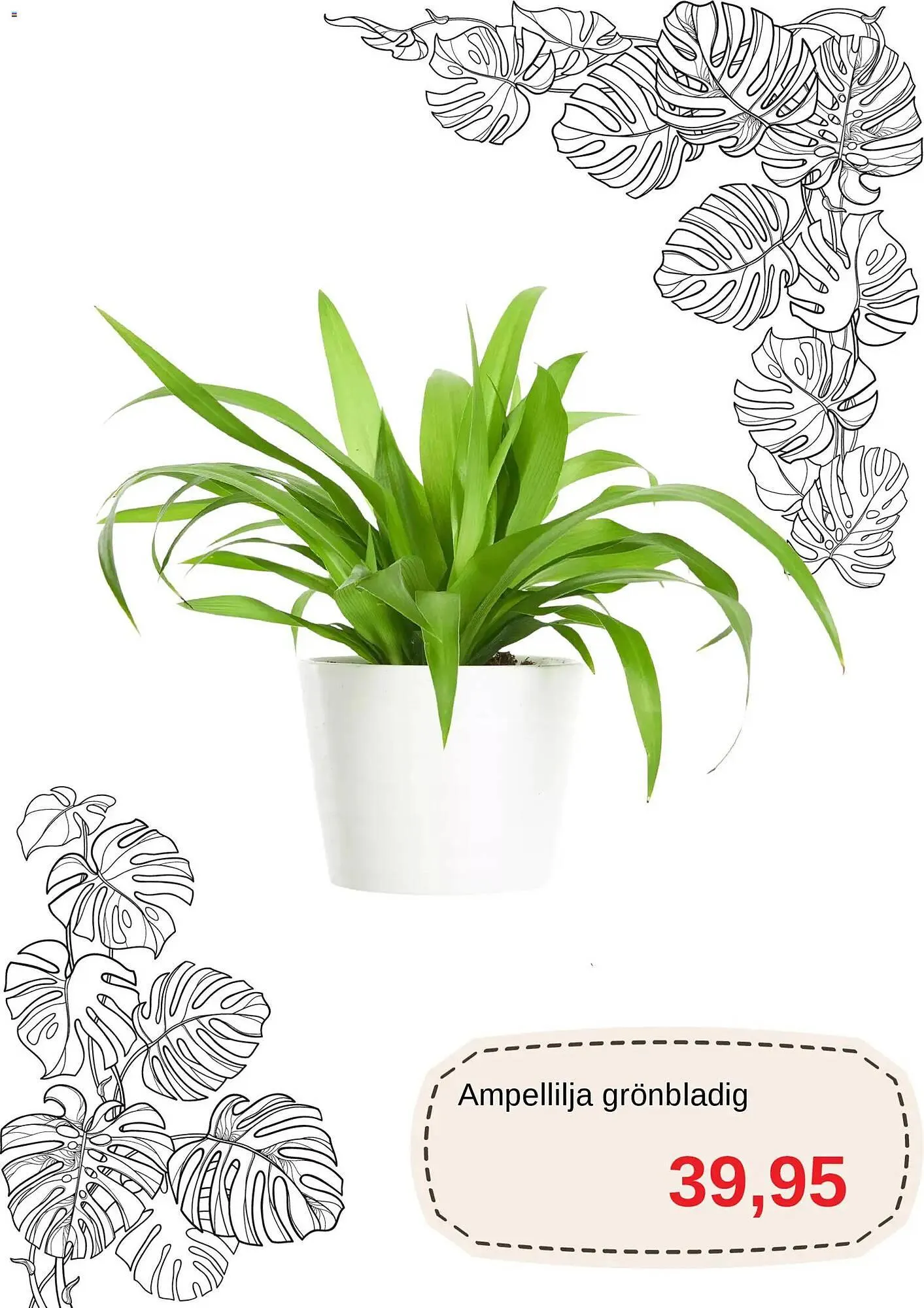 Blomsterlandet reklamblad från 1 november till 16 november 2025 - Reklamblad sidor 8