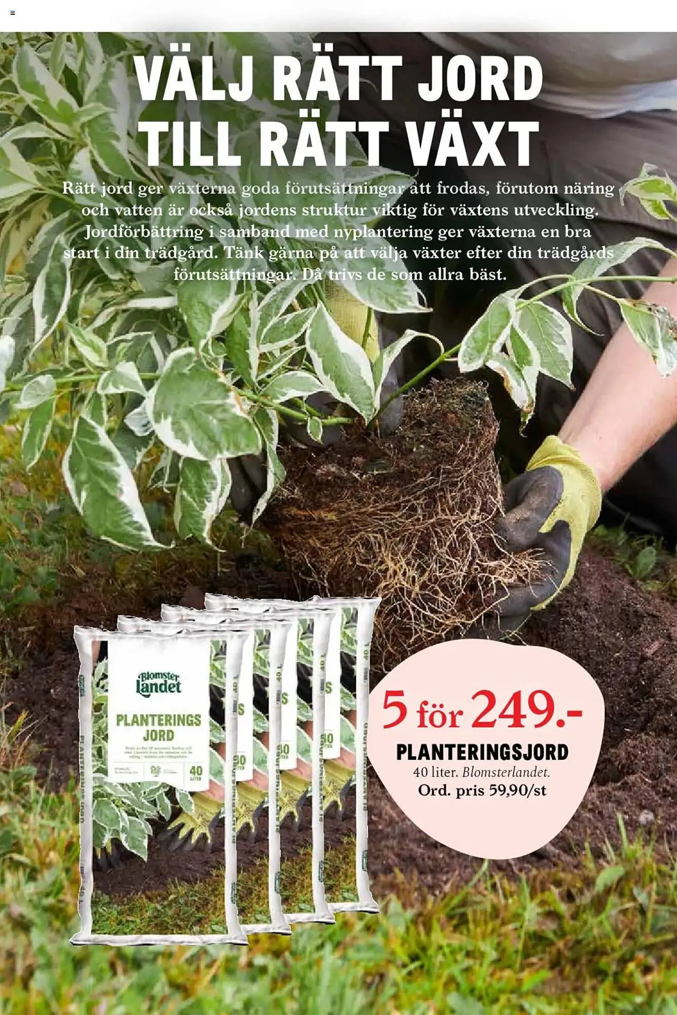 Blomsterlandet reklamblad från 24 mars till 30 mars 2025 - Reklamblad sidor 11
