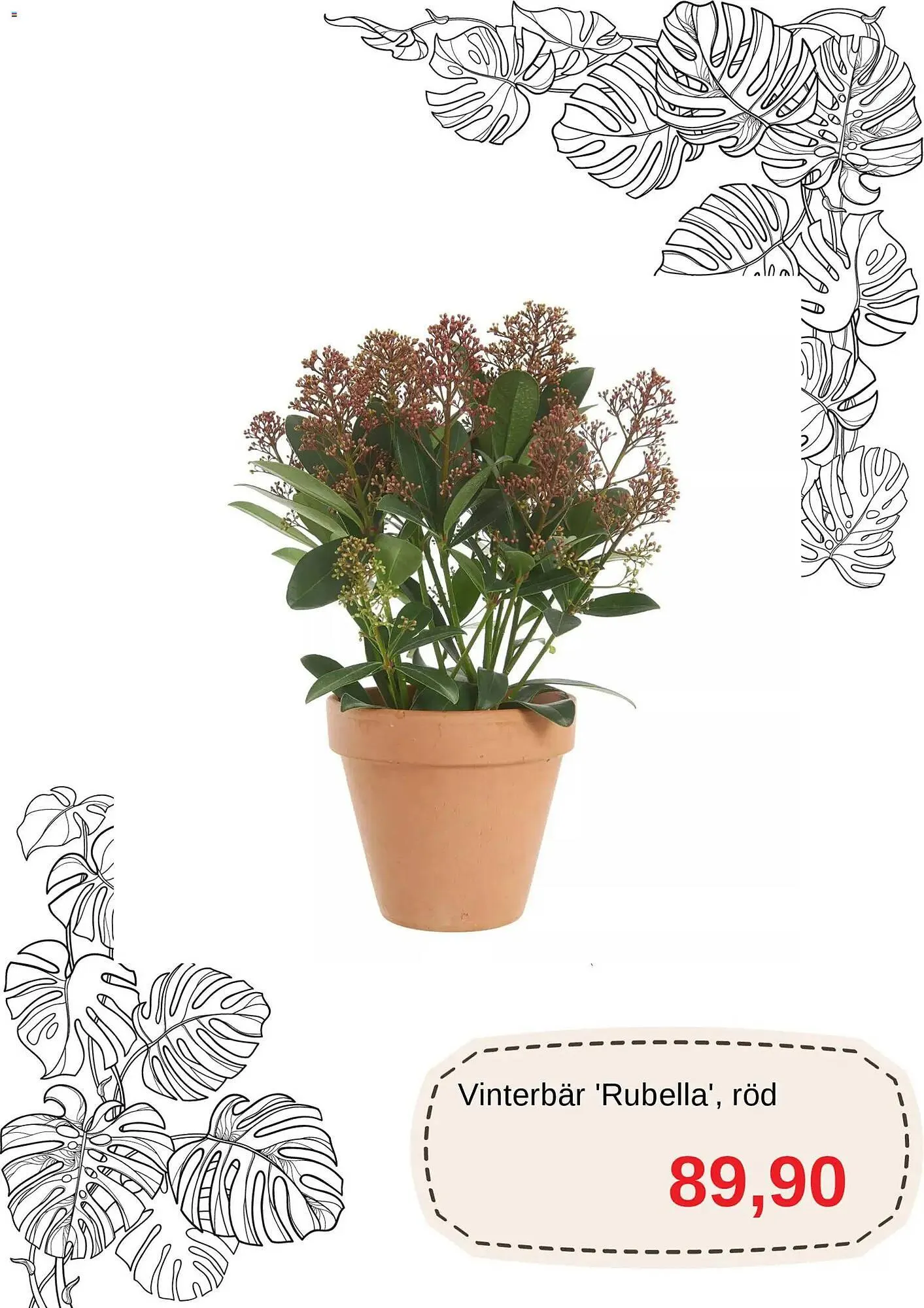 Blomsterlandet reklamblad från 1 december till 31 december 2025 - Reklamblad sidor 10