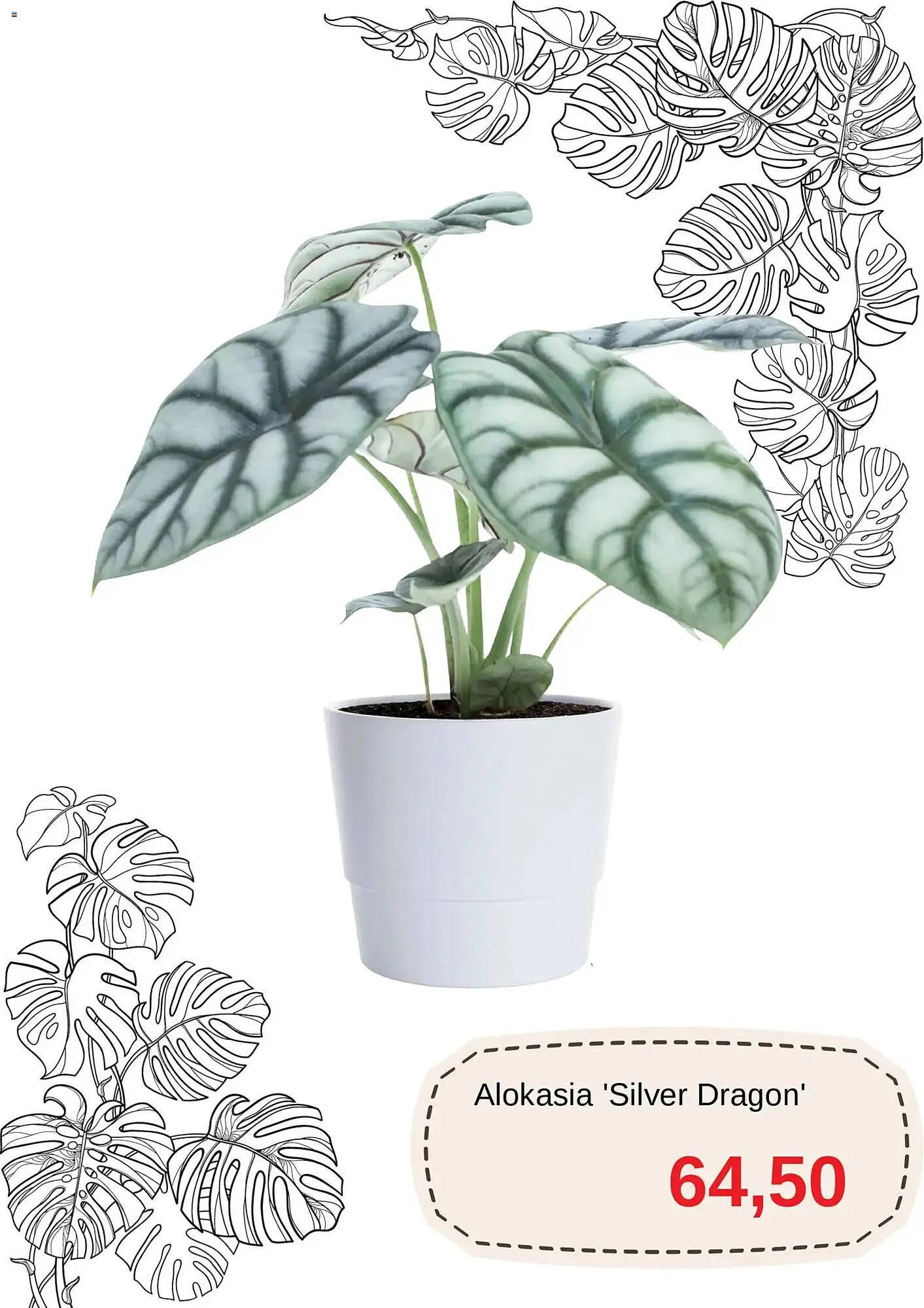 Blomsterlandet reklamblad från 11 mars till 10 april 2026 - Reklamblad sidor 3