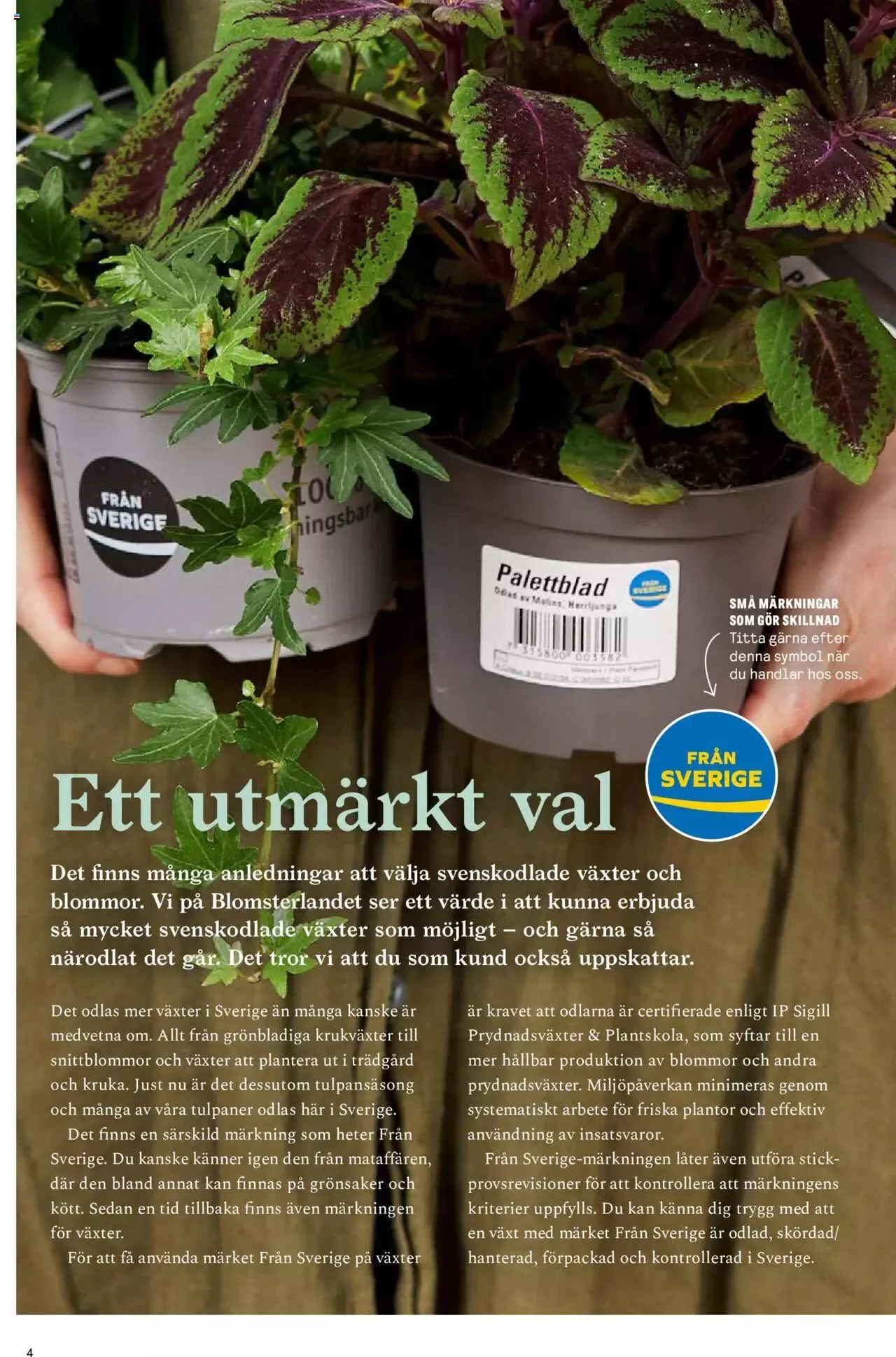 Blomsterlandet - Grönska #1 från 6 februari till 31 december 2023 - Reklamblad sidor 4