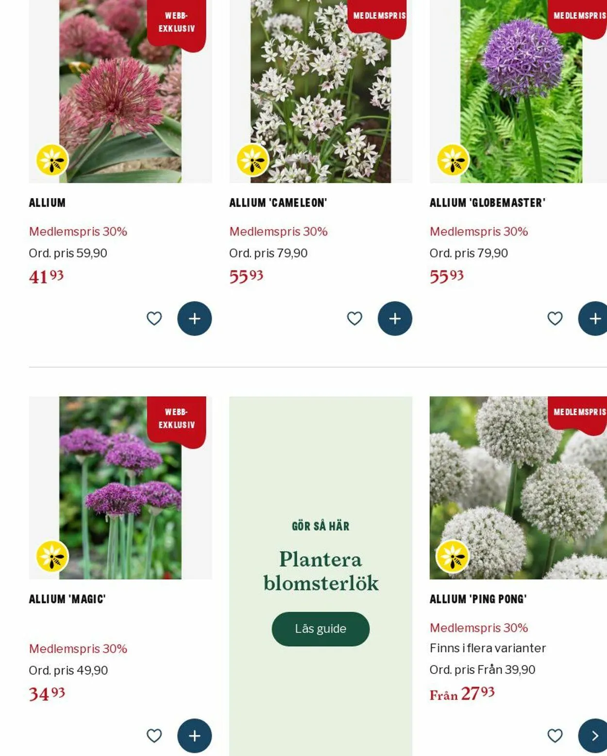 Blomsterlandet från 15 september till 24 september 2025 - Reklamblad sidor 1