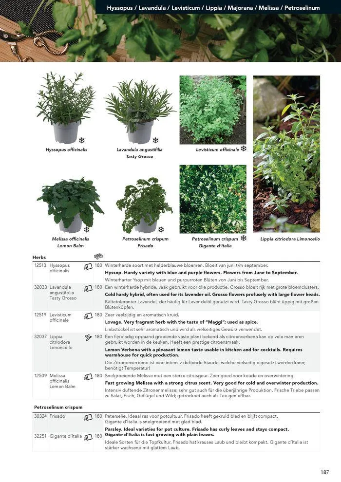Annuals 2024 . från 15 februari till 31 december 2024 - Reklamblad sidor 191