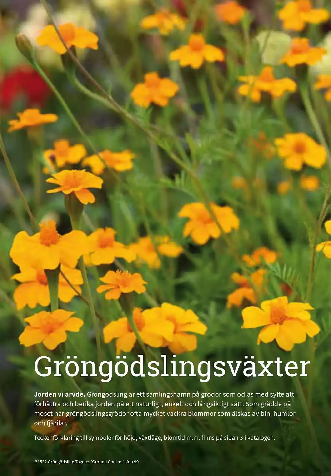 Impecta reklamblad från 23 januari till 31 december 2025 - Reklamblad sidor 97