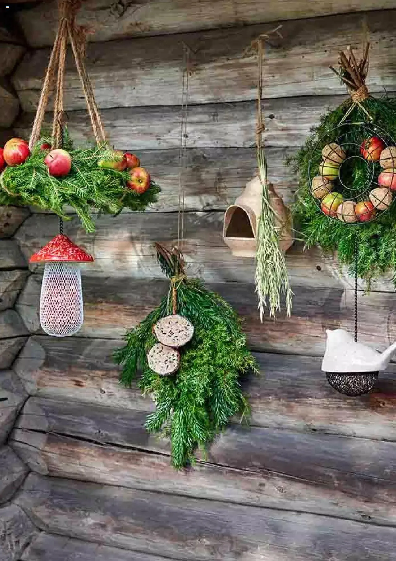 Plantagen - erbjudanden från 27 december till 4 januari 2024 - Reklamblad sidor 7