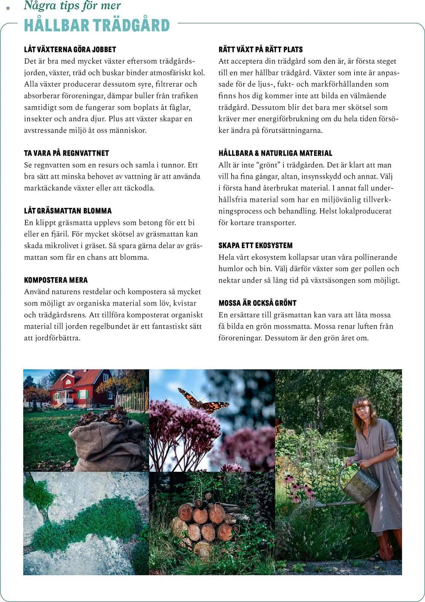 Blomsterlandet reklamblad från 13 maj till 26 maj 2024 - Reklamblad sidor 7