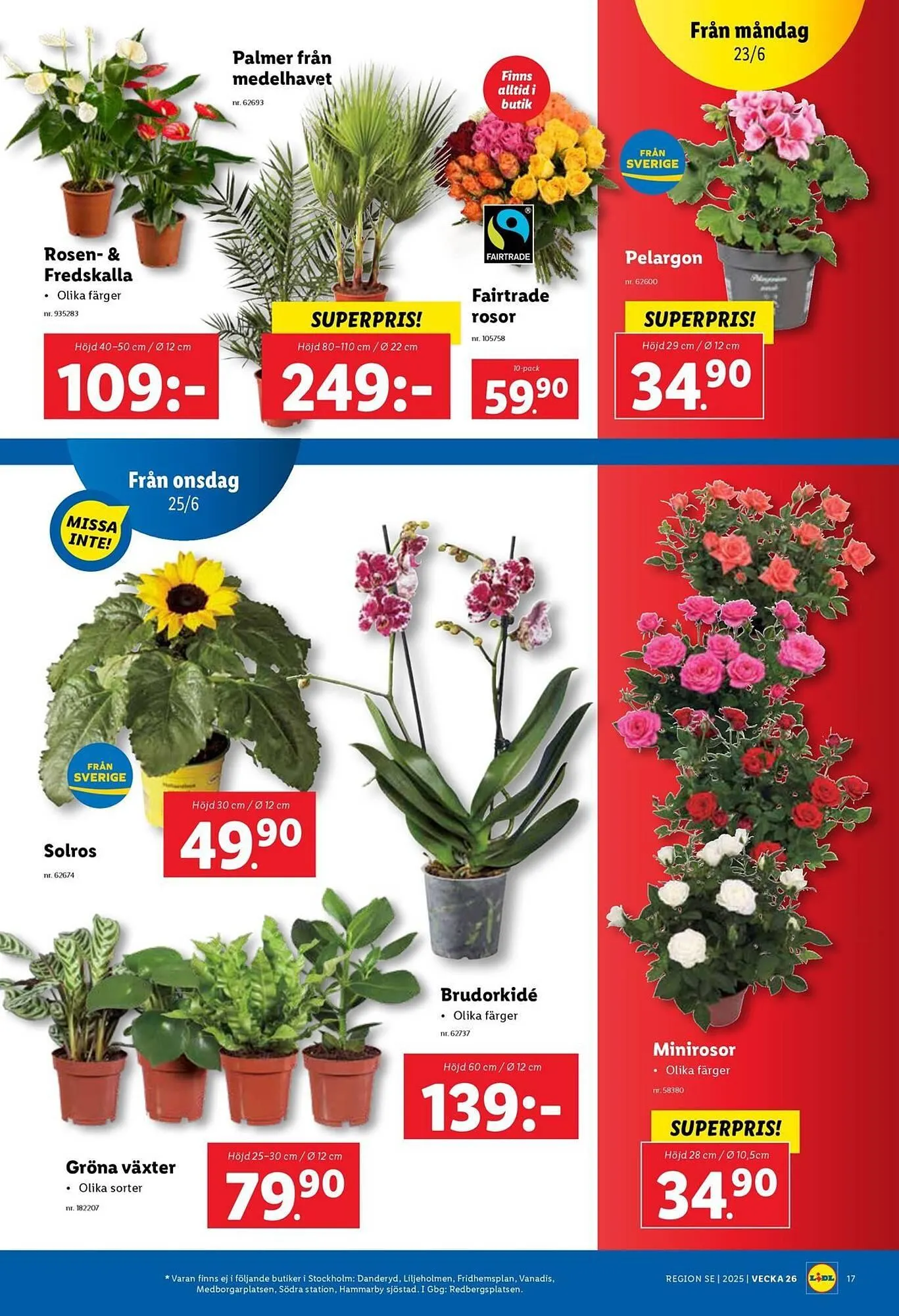 Lidl reklamblad från 23 juni till 29 juni 2025 - Reklamblad sidor 19