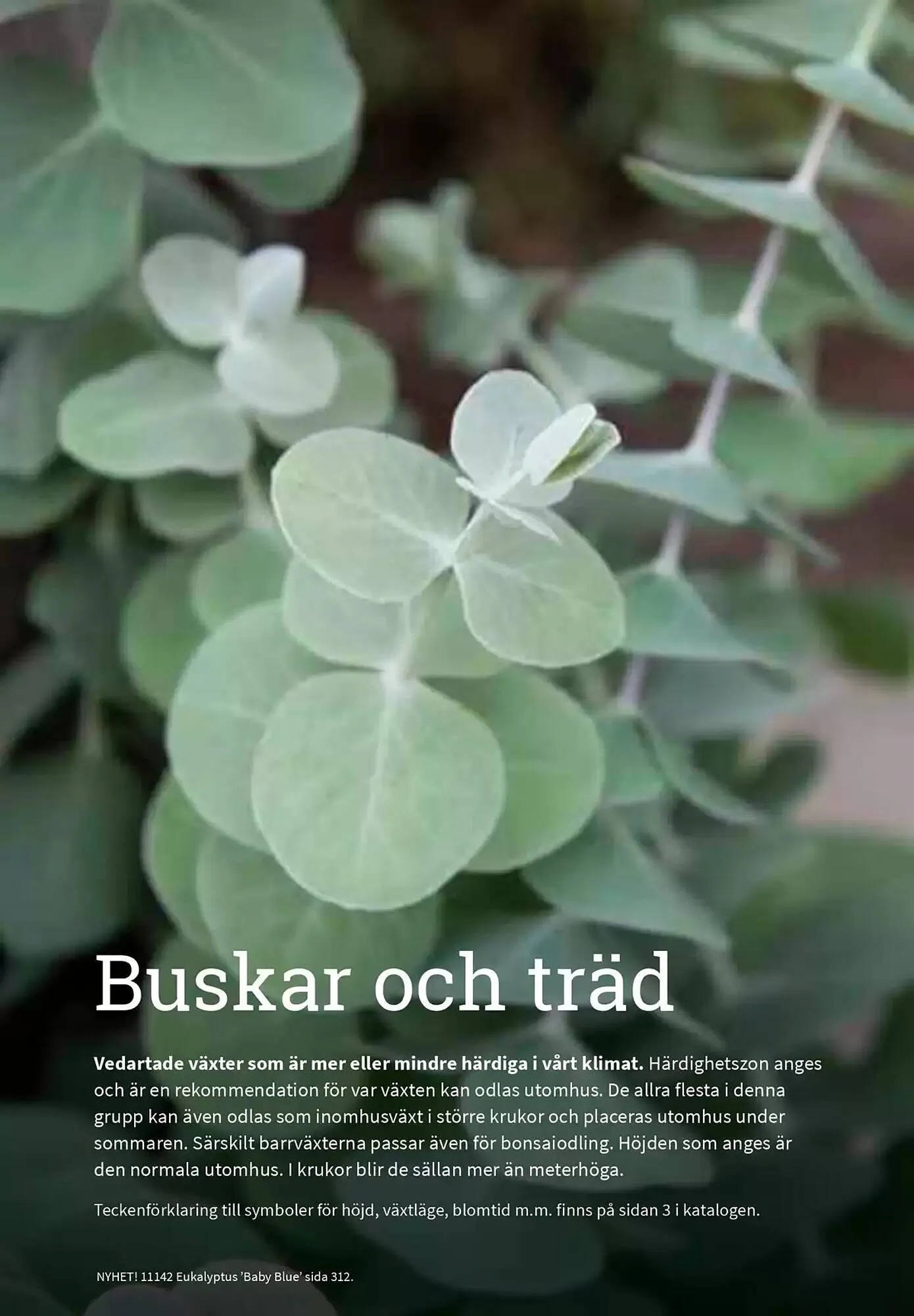 Impecta reklamblad från 23 januari till 31 december 2025 - Reklamblad sidor 311