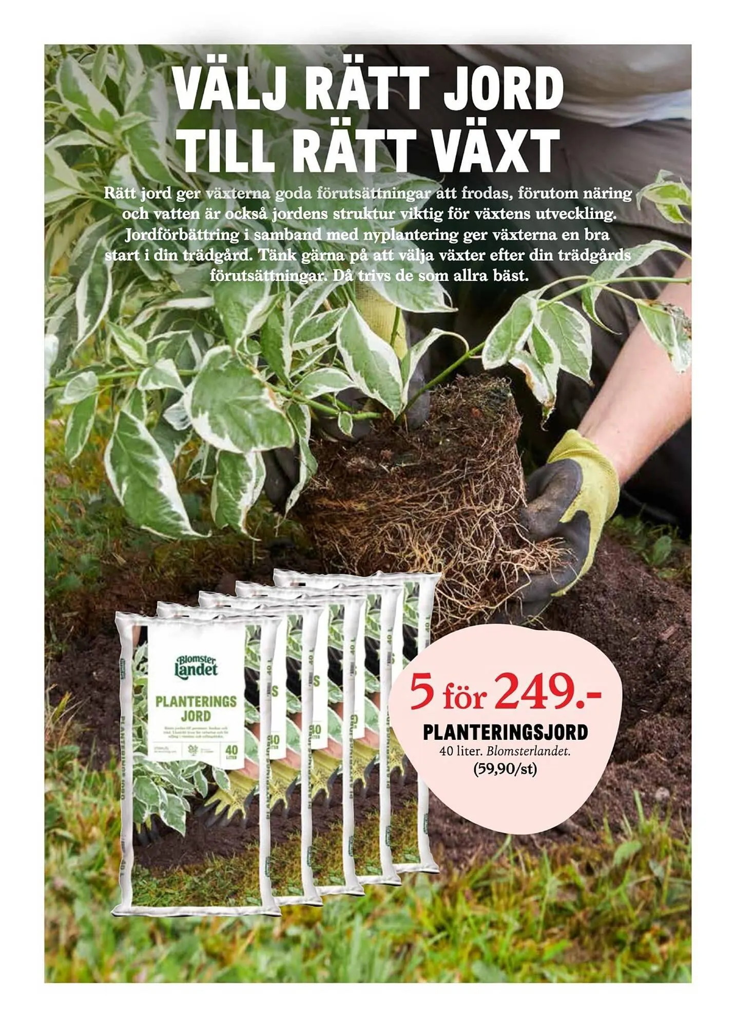 Blomsterlandet reklamblad från 31 mars till 6 april 2025 - Reklamblad sidor 13